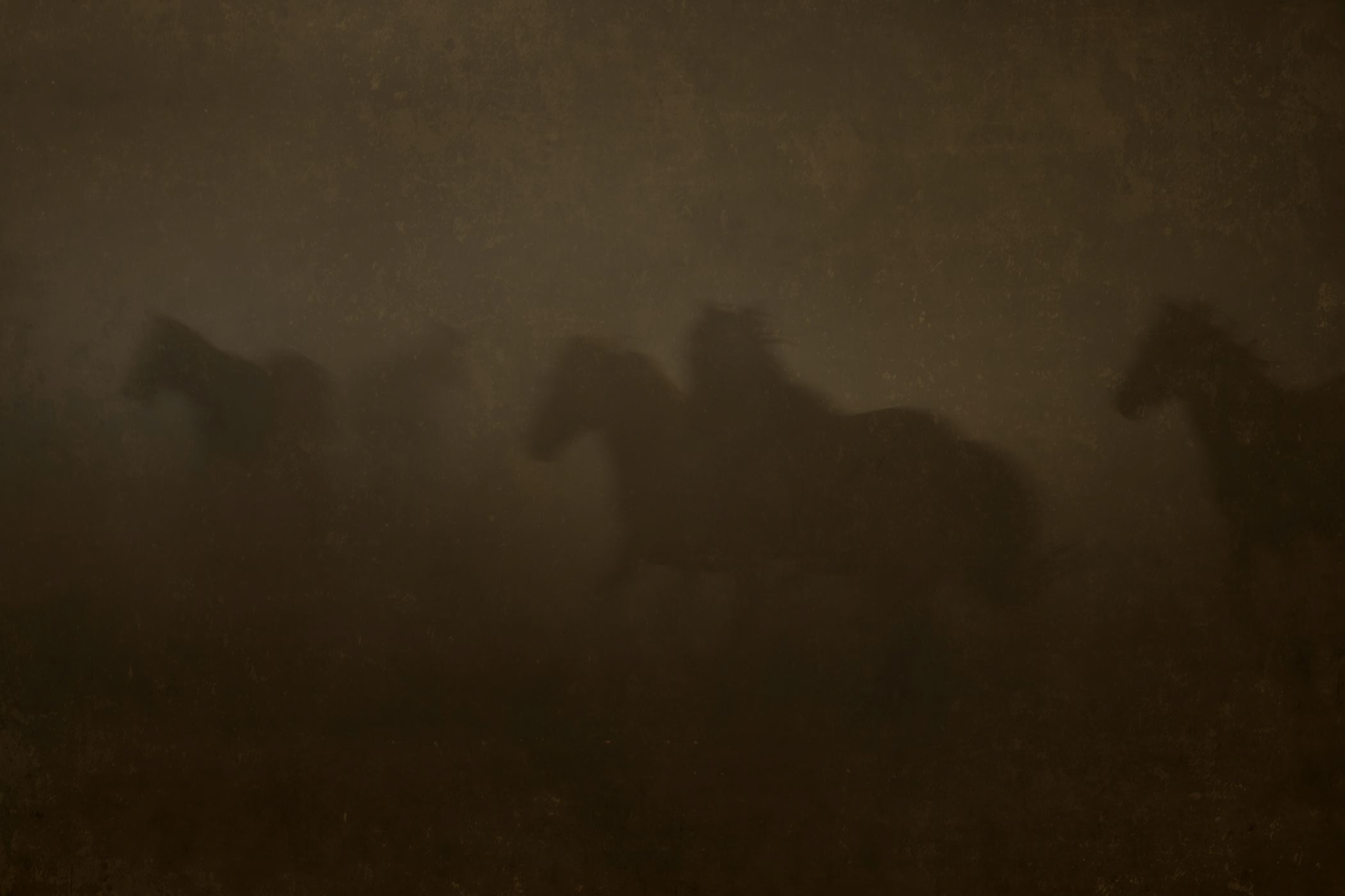 Wild Horses/Fog  2/10 by Jack Spencer