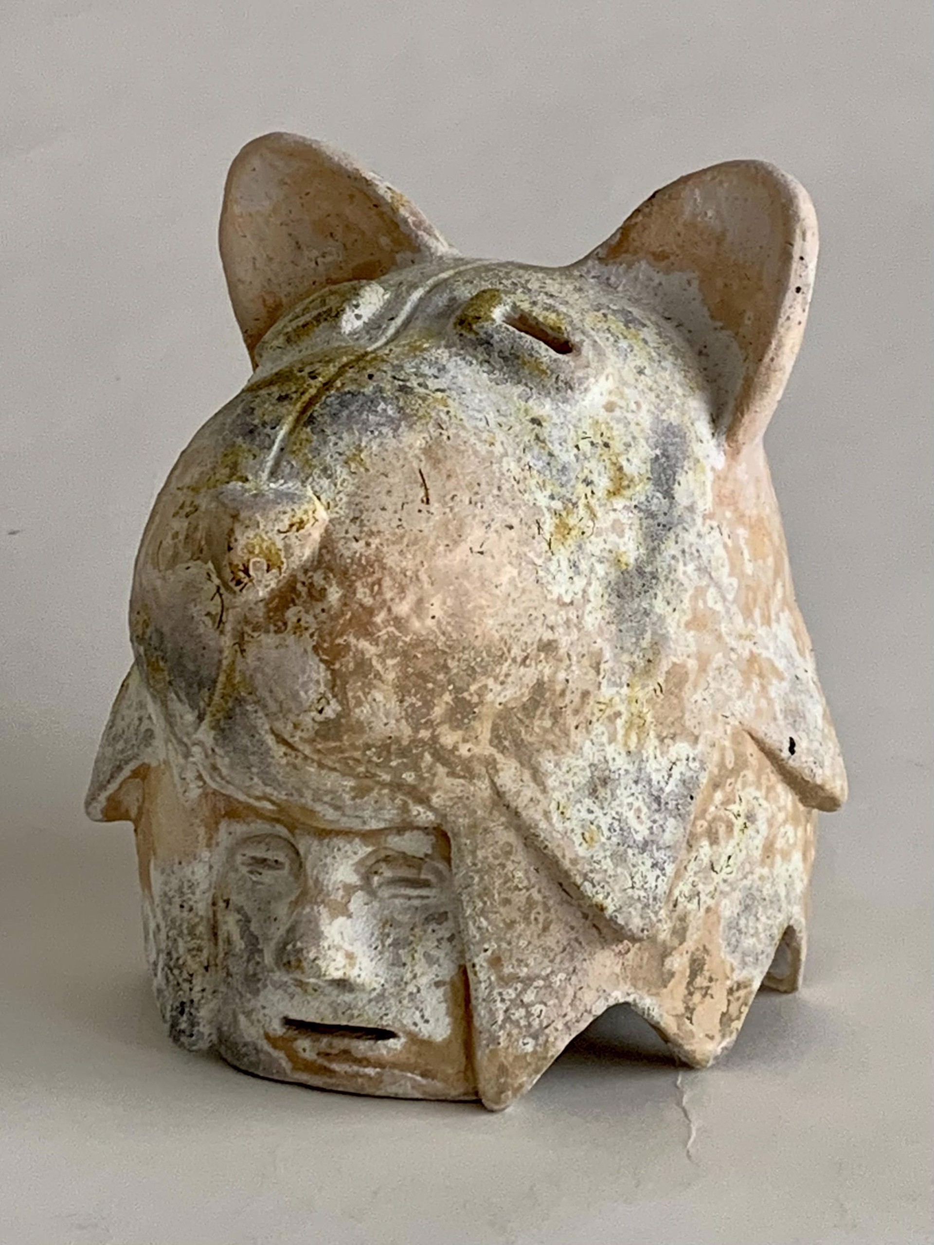 Tiny Cat Warrior Head by John Donovan