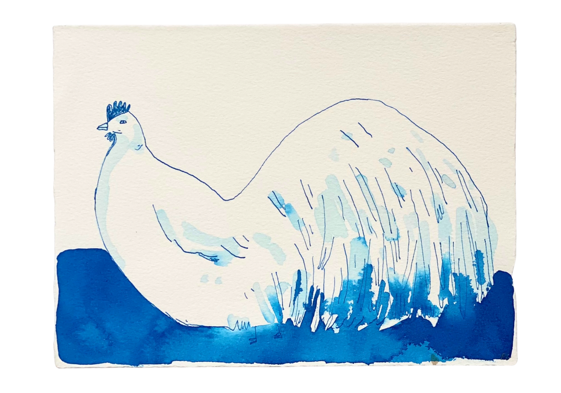 Blue Inkwash Bird #5 by ELIZABETH GRAEBER