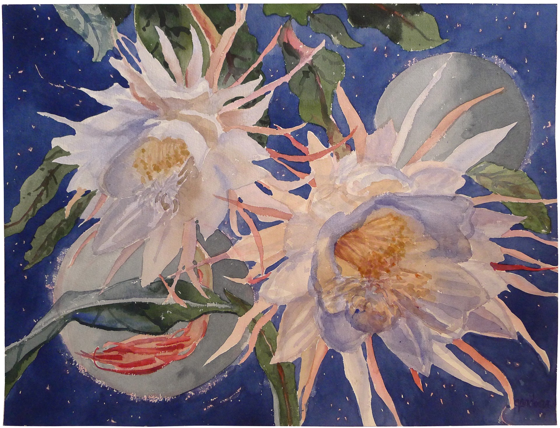 Night Blooming Cereus with Silver Moons by Sheila Gardner