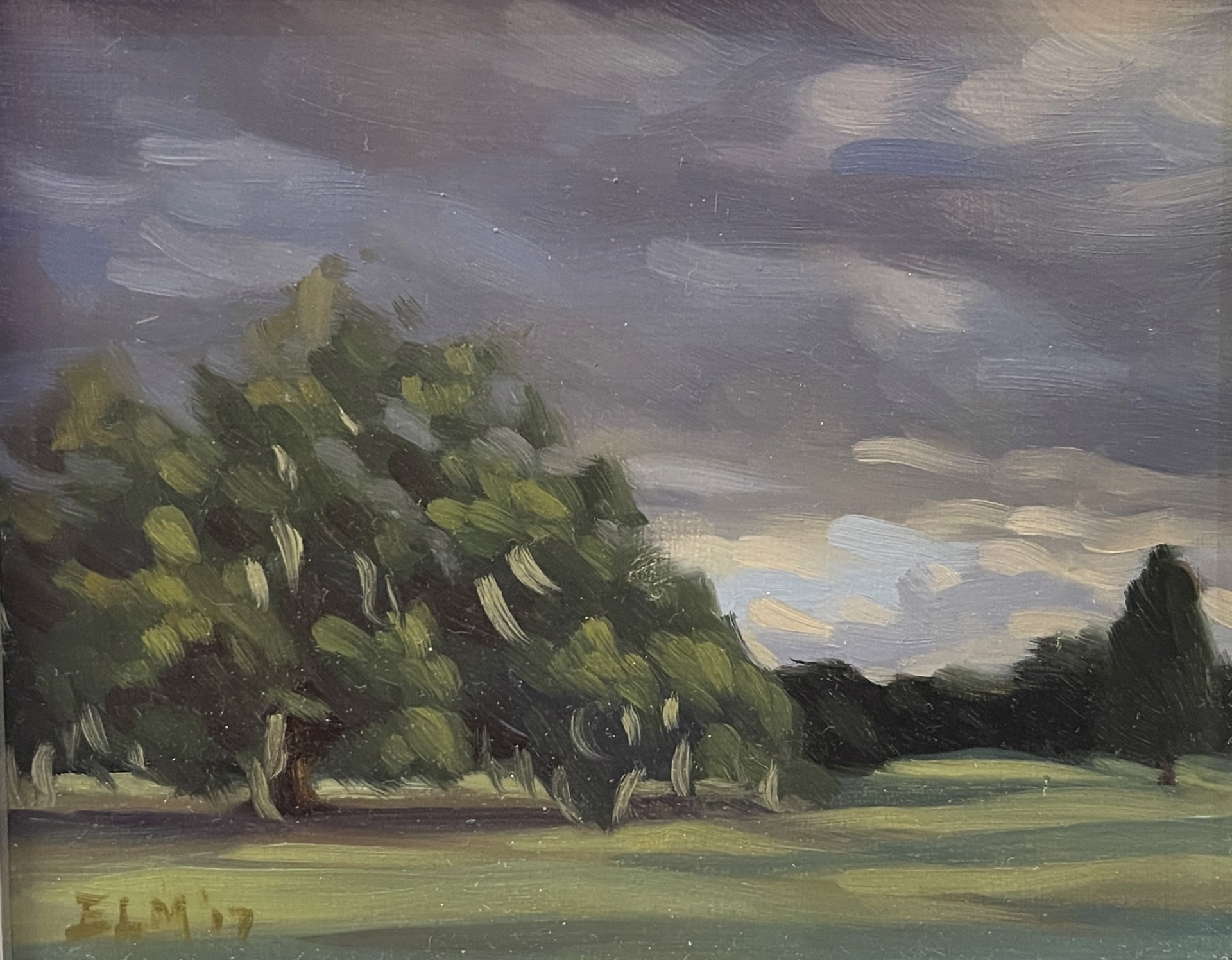 Clouds Over Audubon Golf Course by Elizabeth McMillan