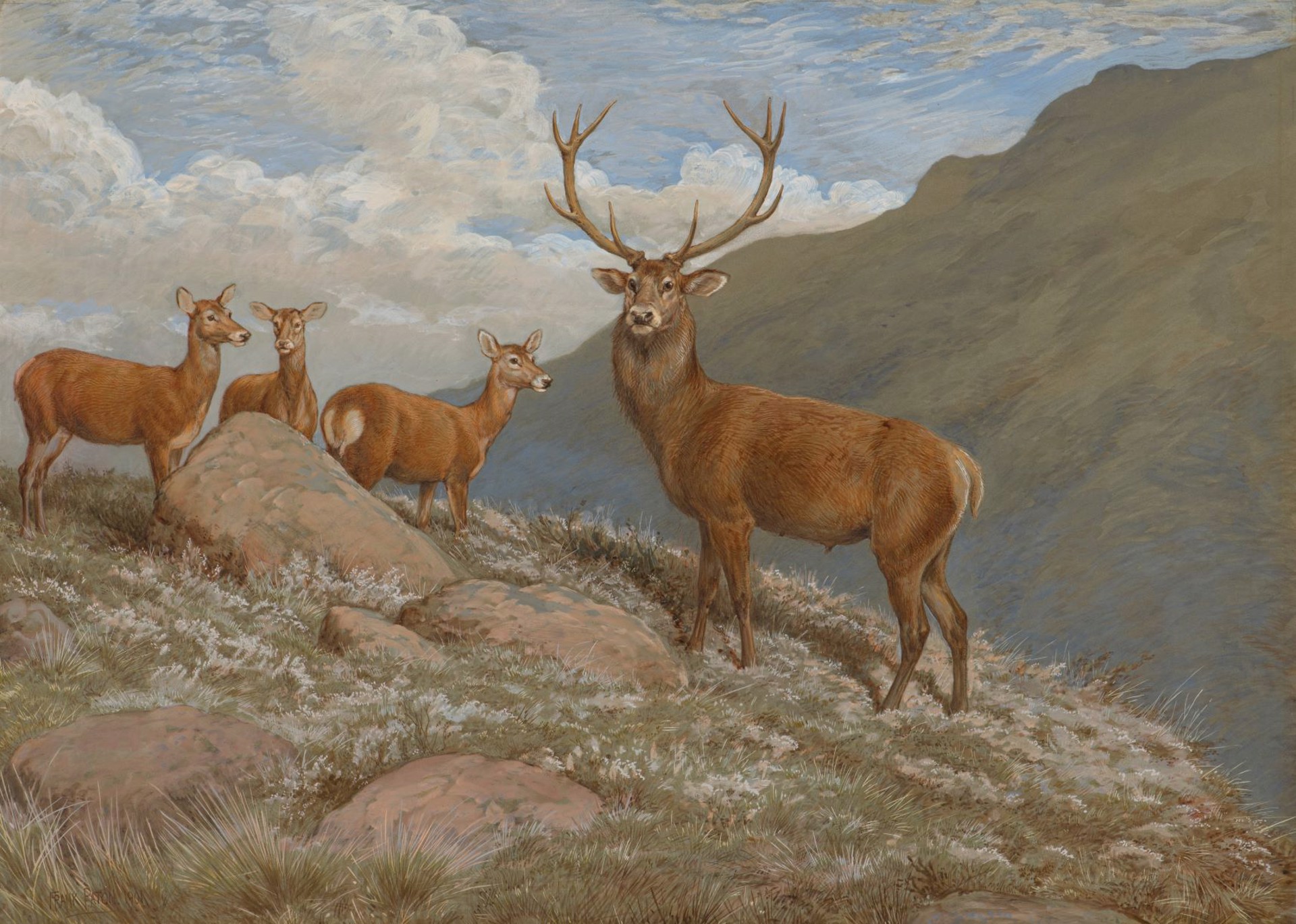 Stag and Hinds by Frank Paton