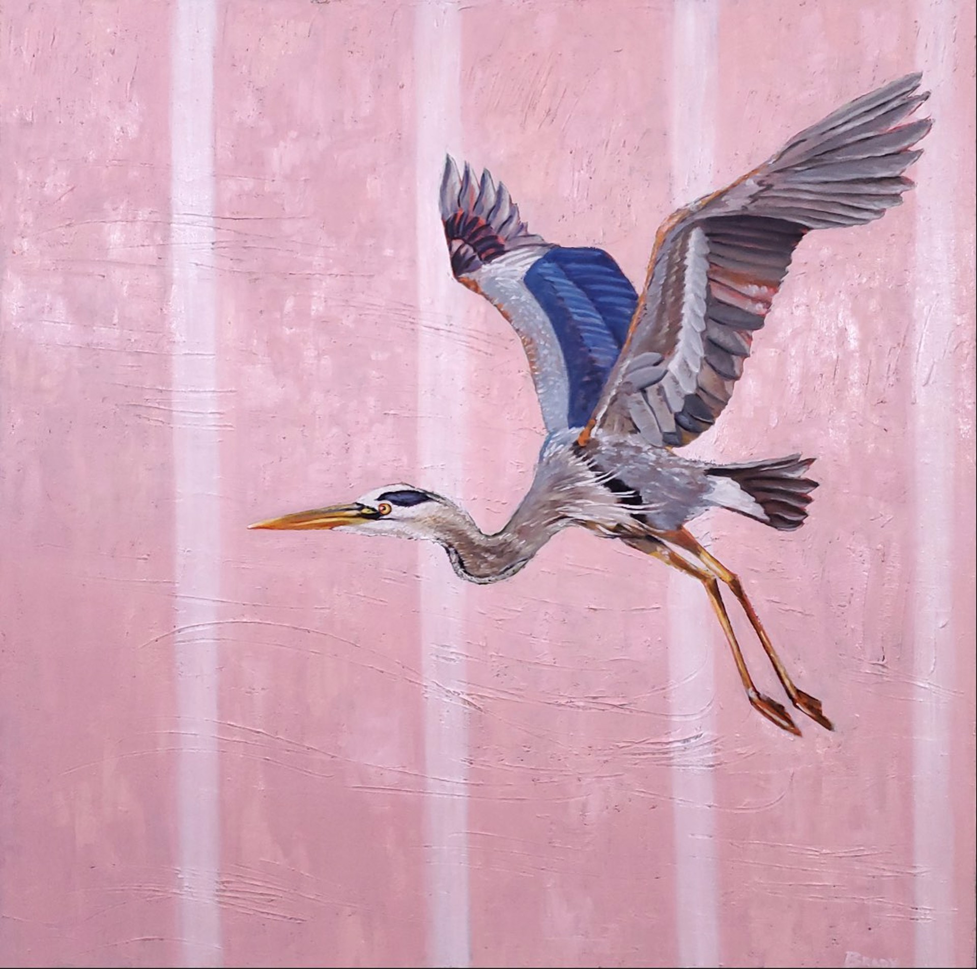 Heron on Pink by Gary Brady