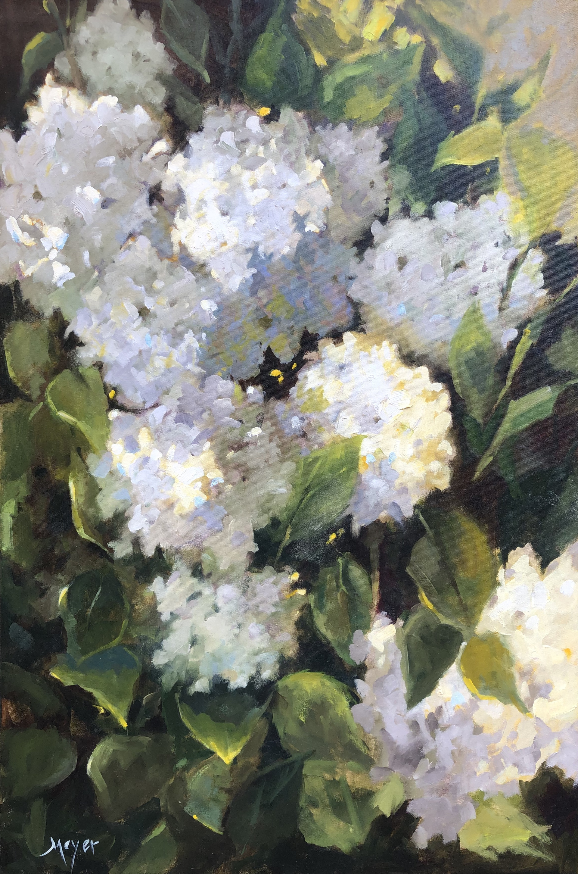Flowerfall II by Laurie Meyer