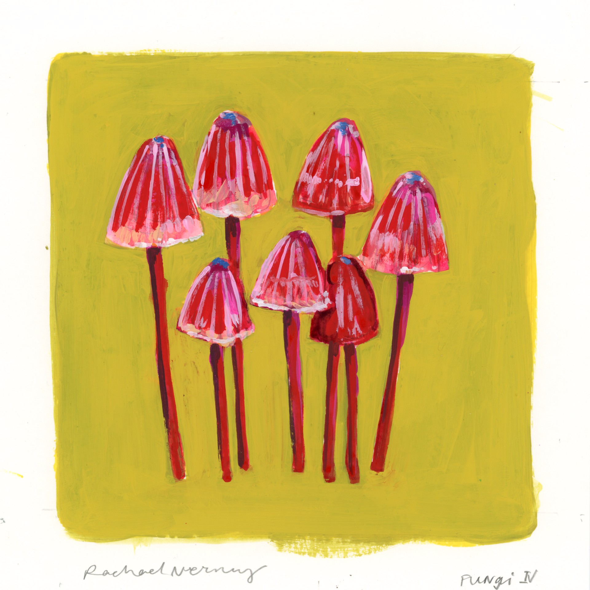 Fungi IV by Rachael Nerney