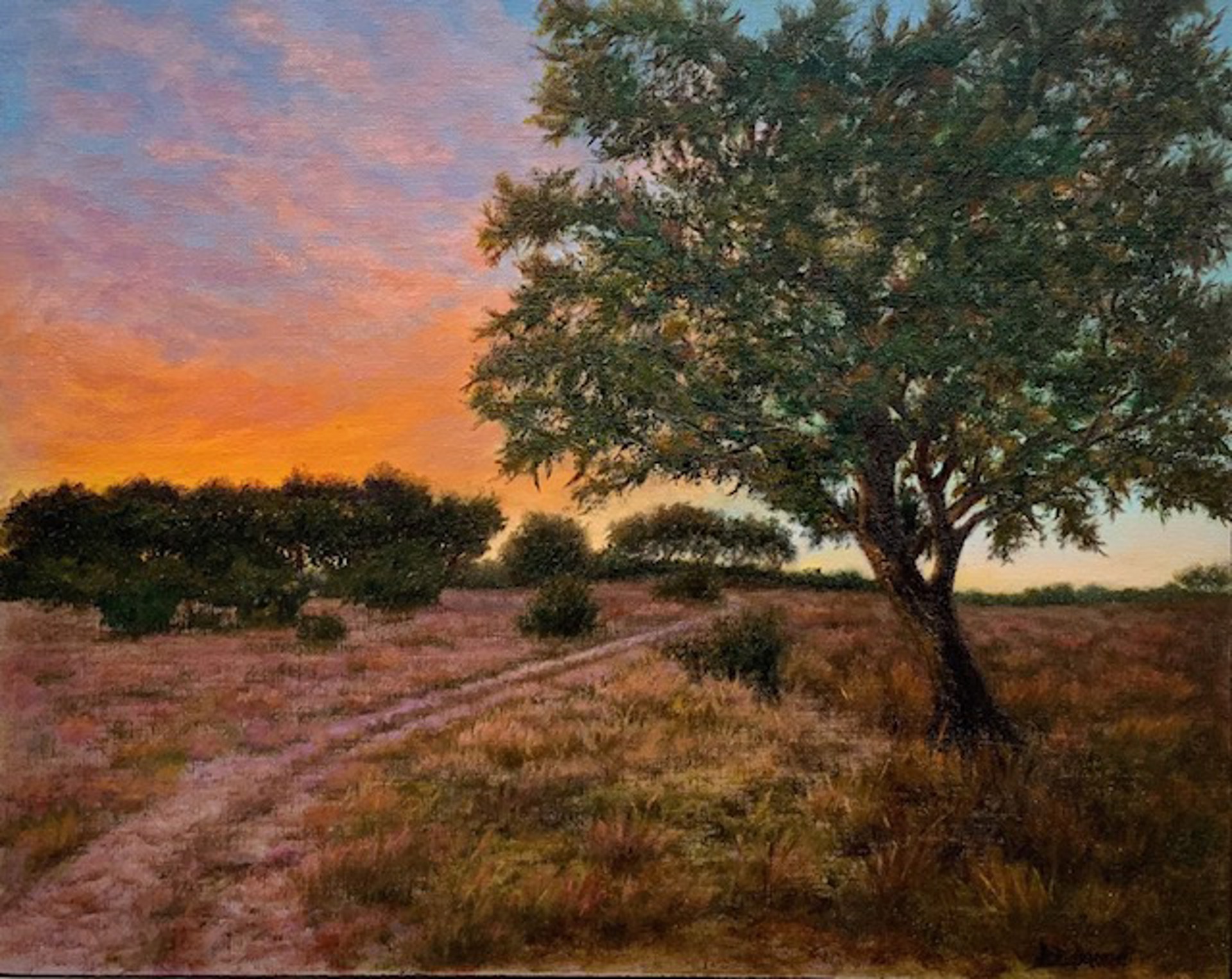 Sunrise at Carper's Creek Ranch by Betty Edmond