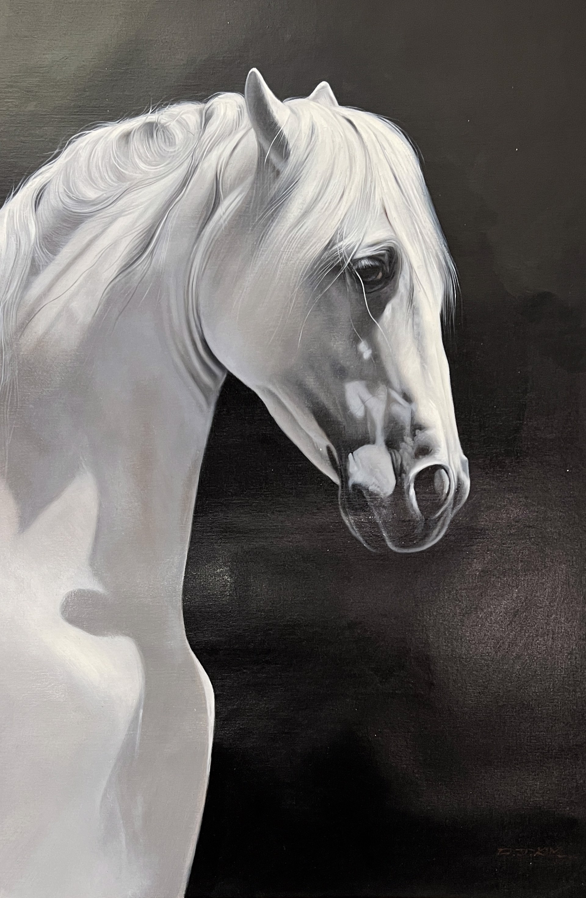 WARM WHITE HORSE REALXED by DJ KIM