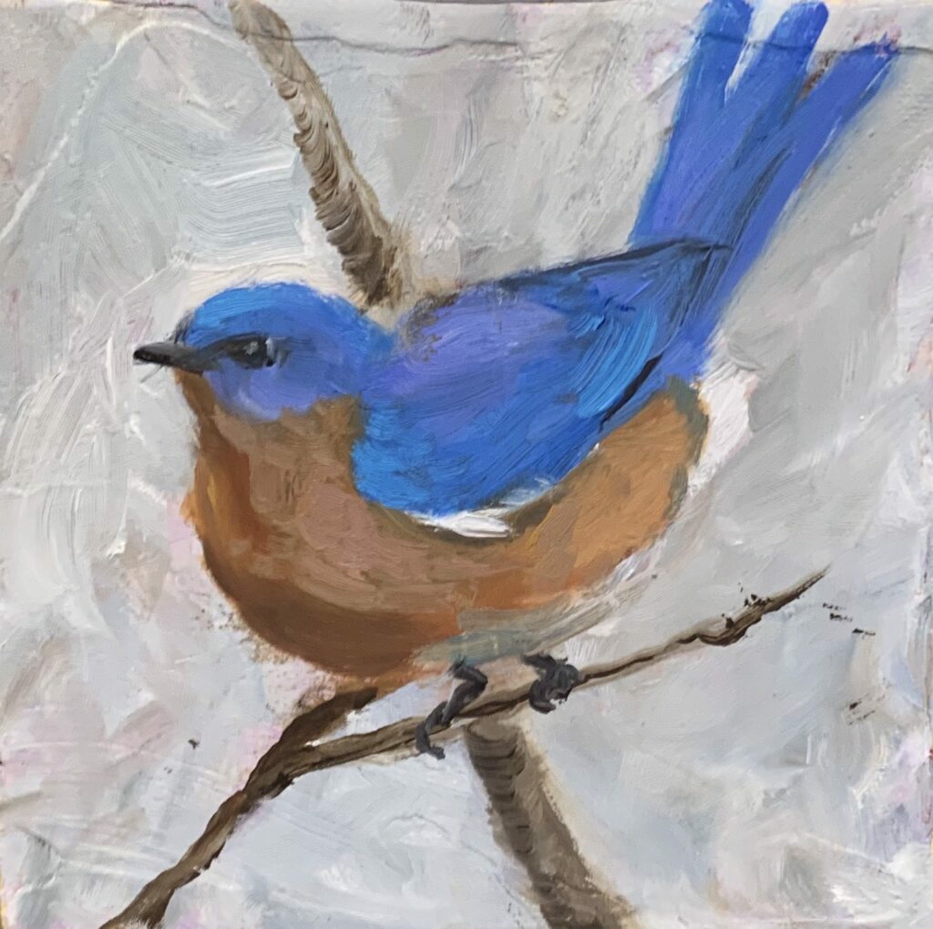 Blue Bird by Liz Shepherd