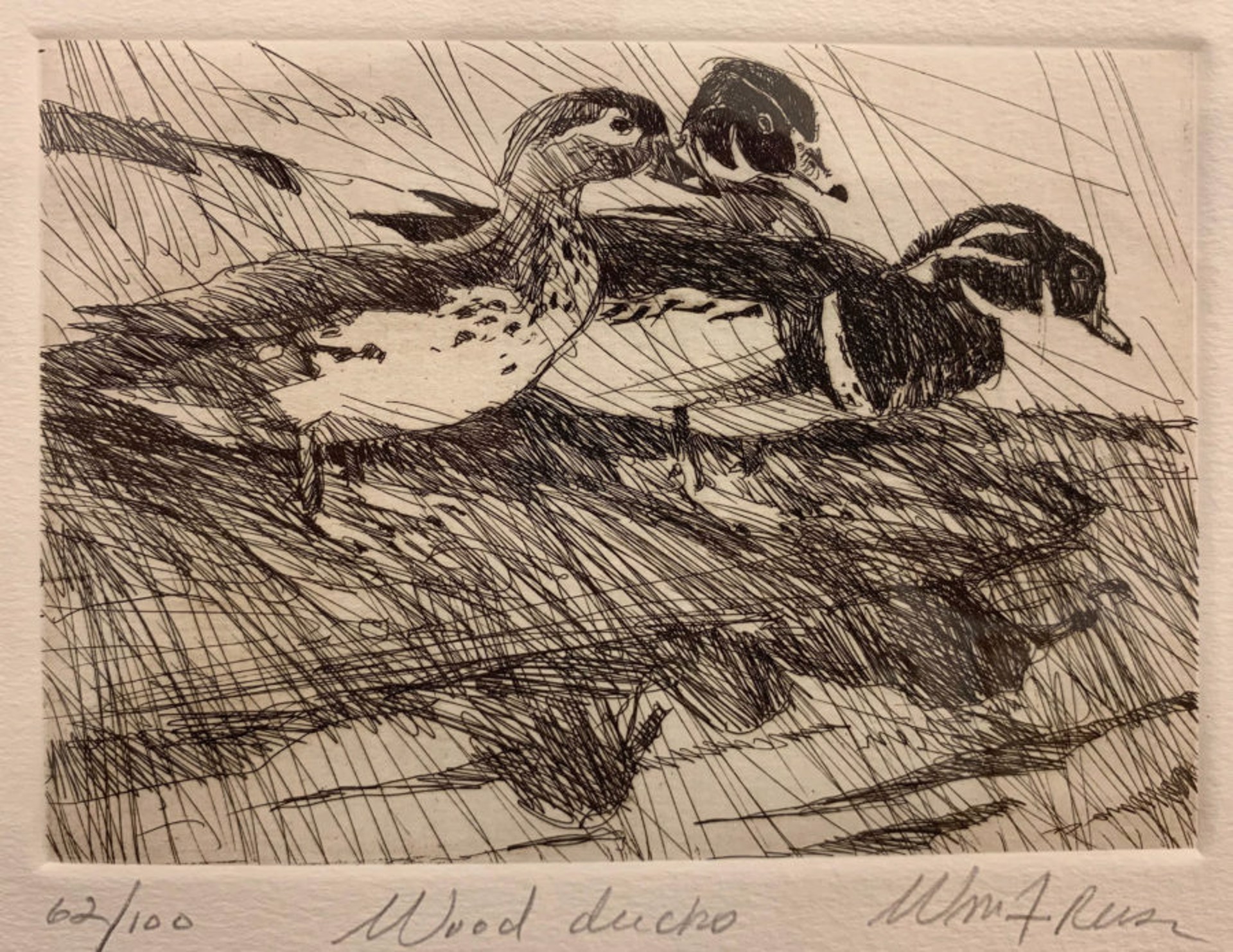 Wood Ducks 62/100 by William F. Reese