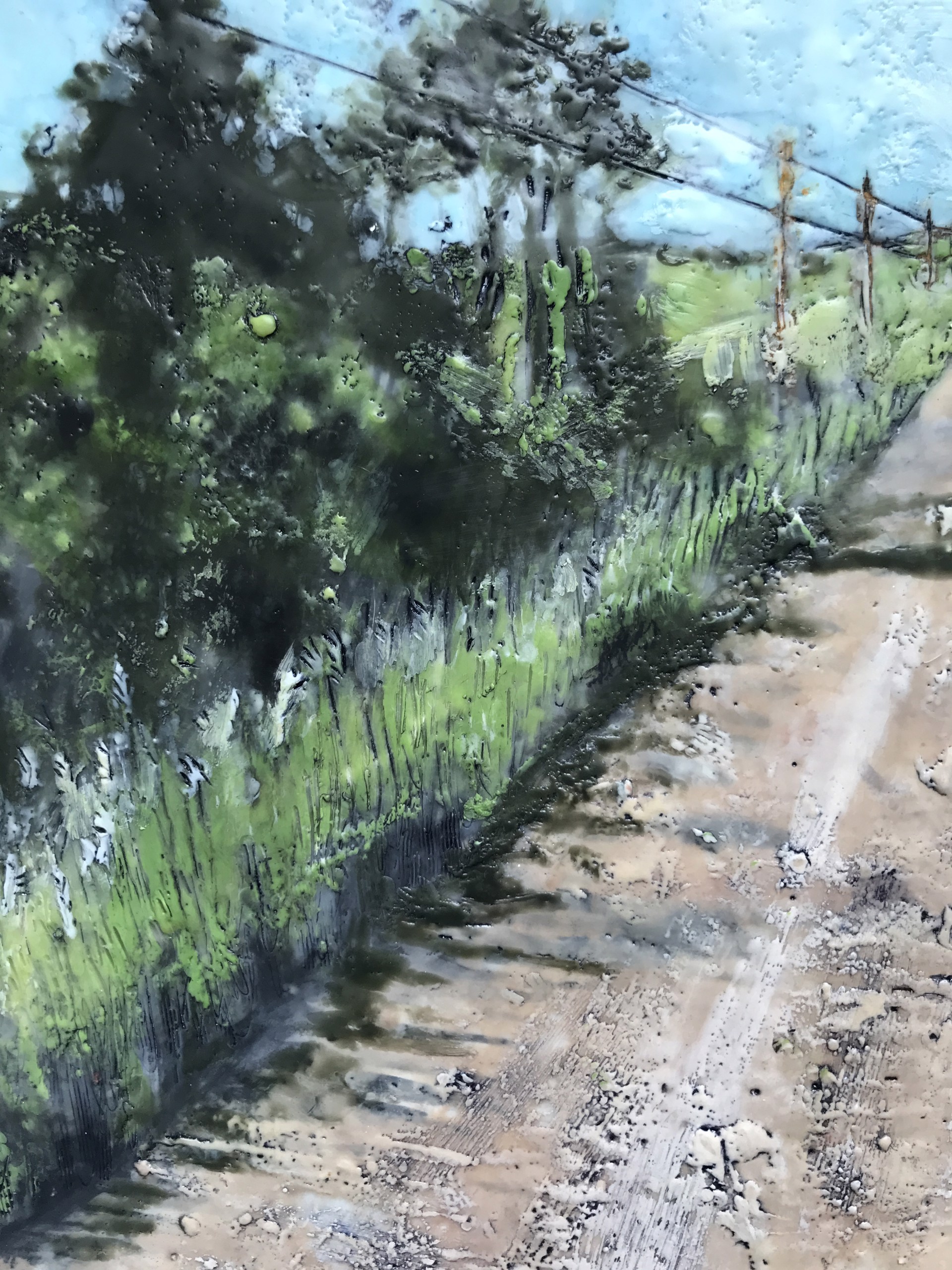Road Less Traveled (Whiterock Conservancy) by Barbara Walton