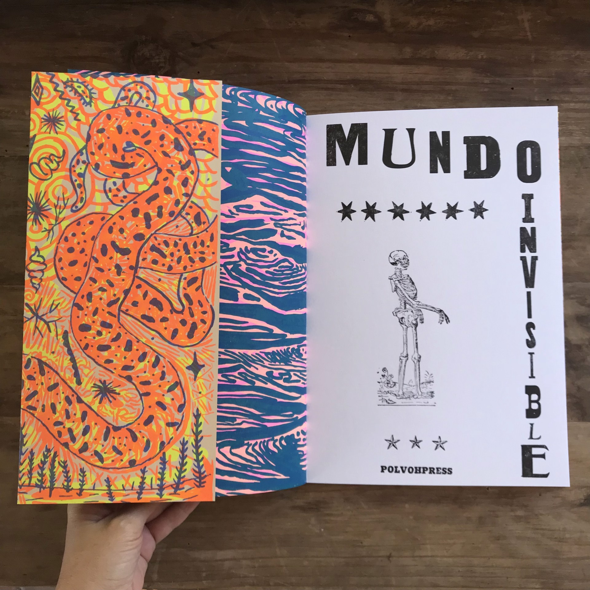 Mundo Invisible by Polvoh Press