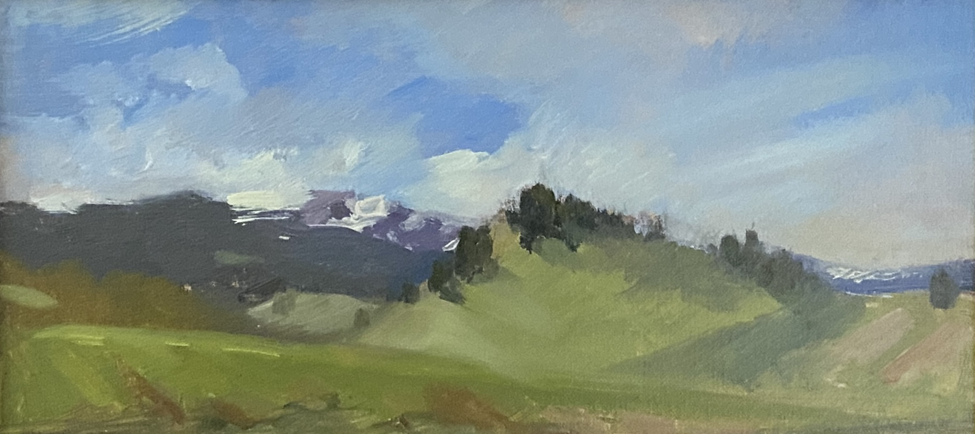 Montana Cloud Study by Nancy Tankersley
