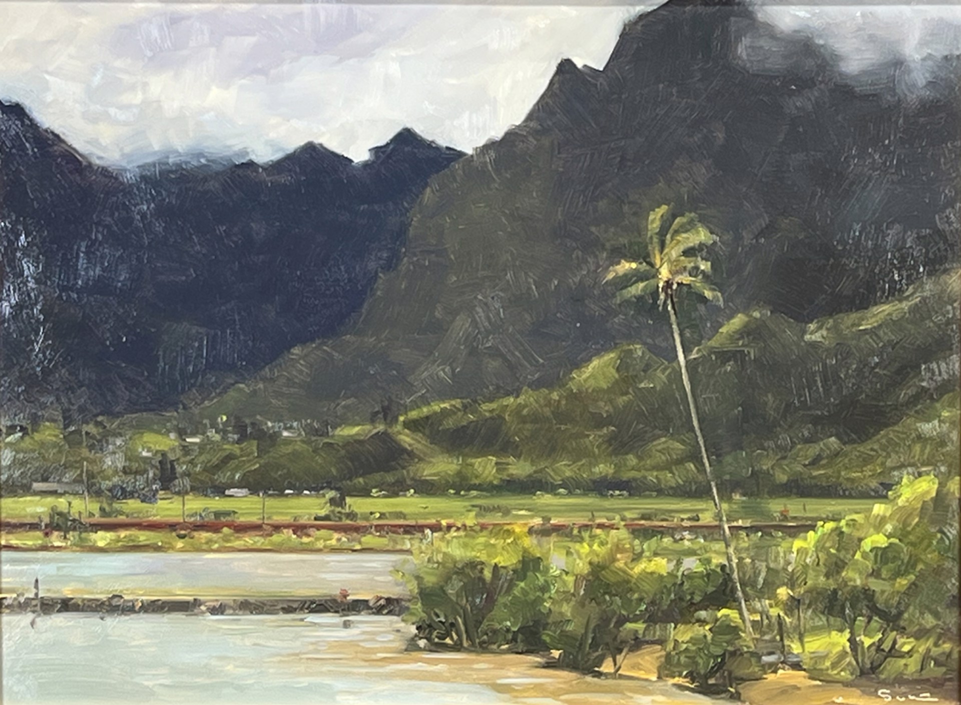 He'eia Palm by Stock Schlueter