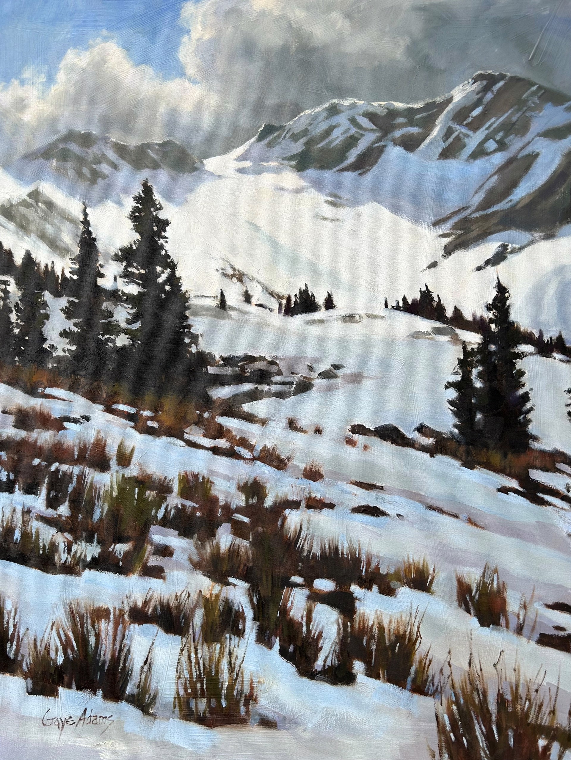 Afternoon Light on Whistler Bowl by GAYE ADAMS