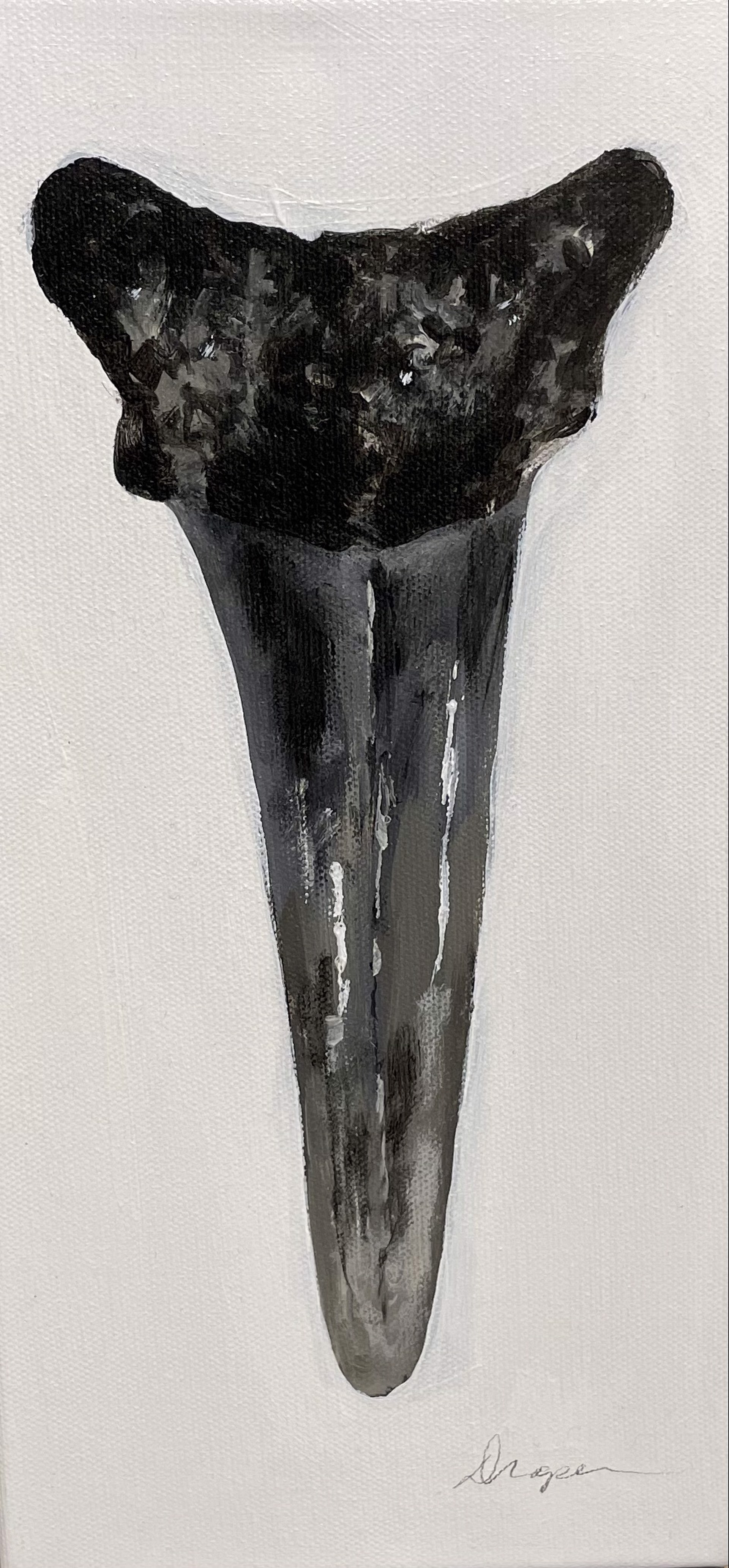 Shark Tooth no. 17 by Jim Draper