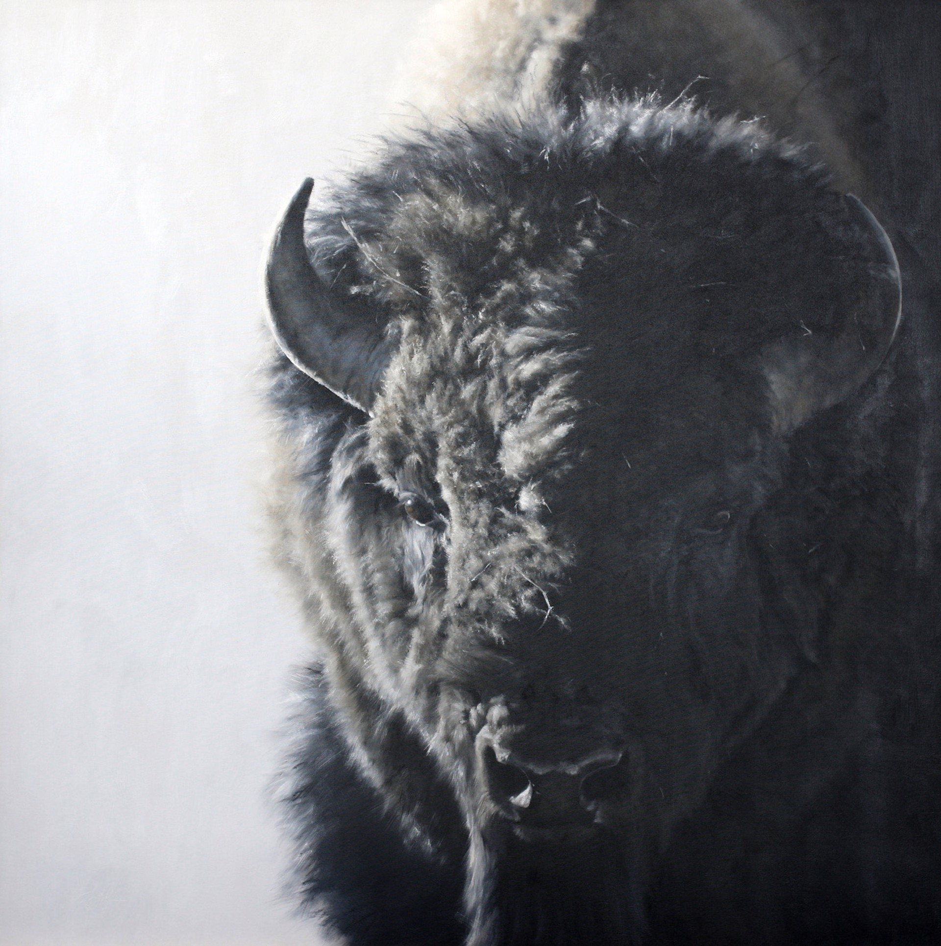 Oil Painting Close Up Painting Of Bison Face By Doyle Hostetler