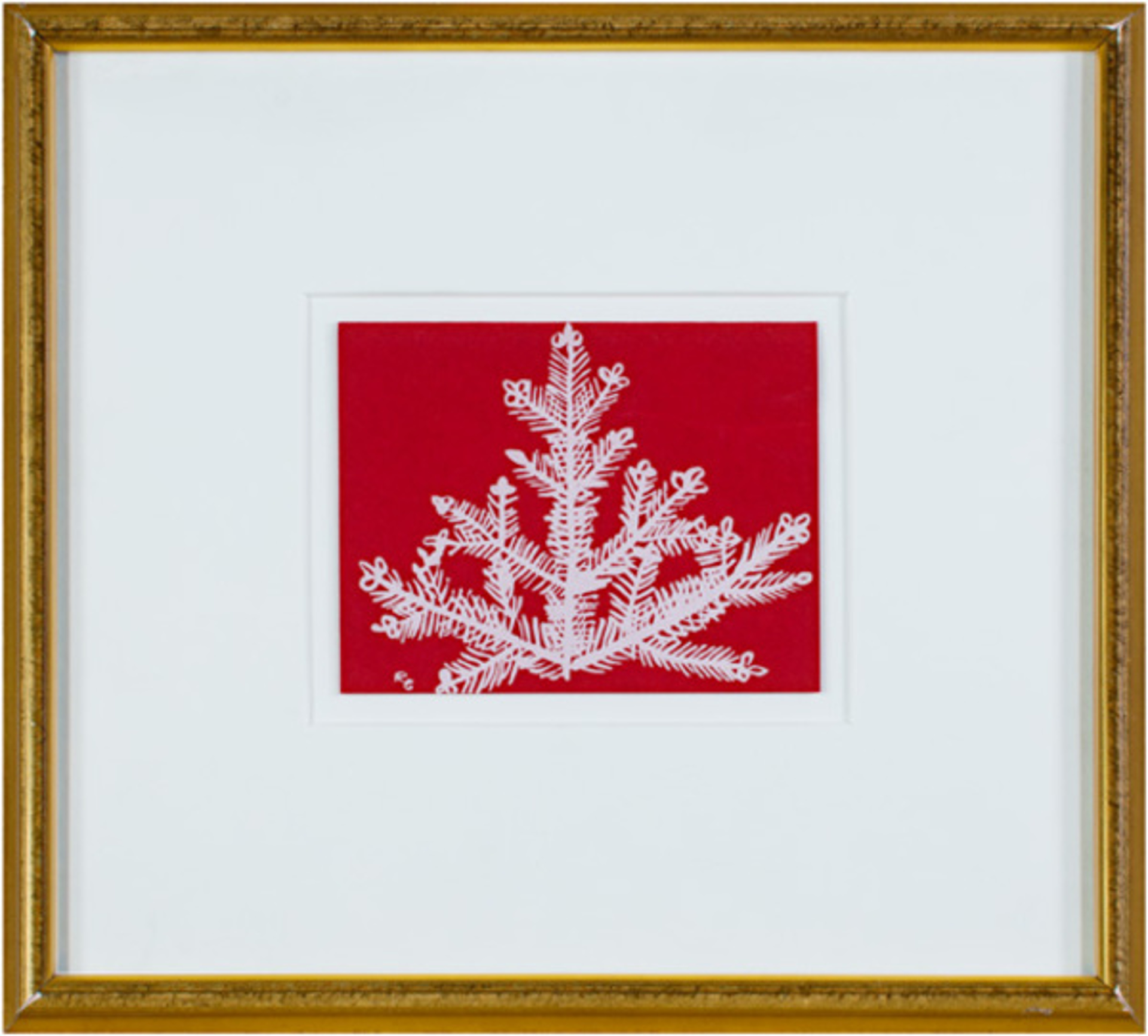 Fir Tree-Artist's #1516 by Ruth Grotenrath | David Barnett Gallery