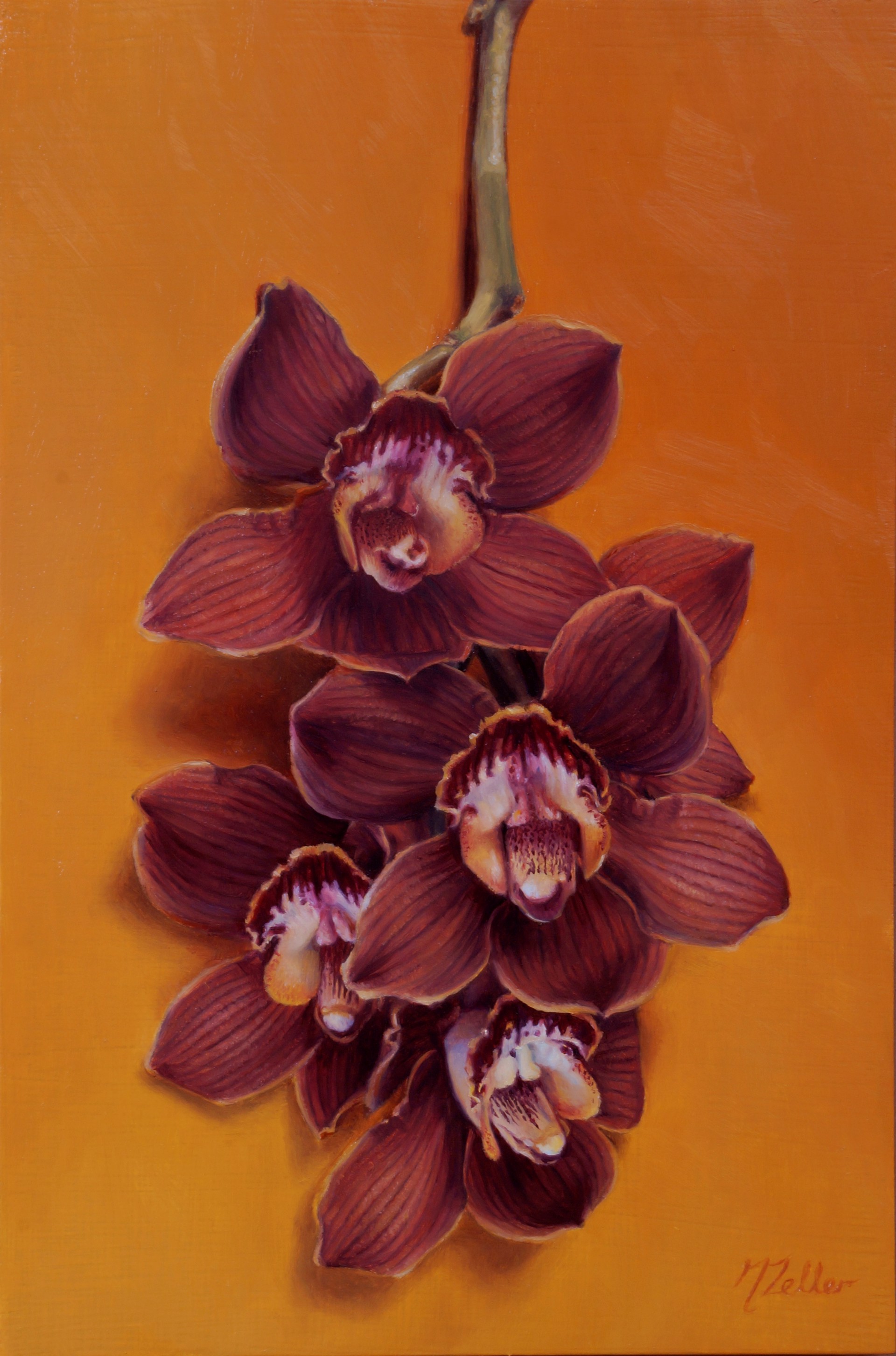 Cymbidium Orchids by Narelle Zeller