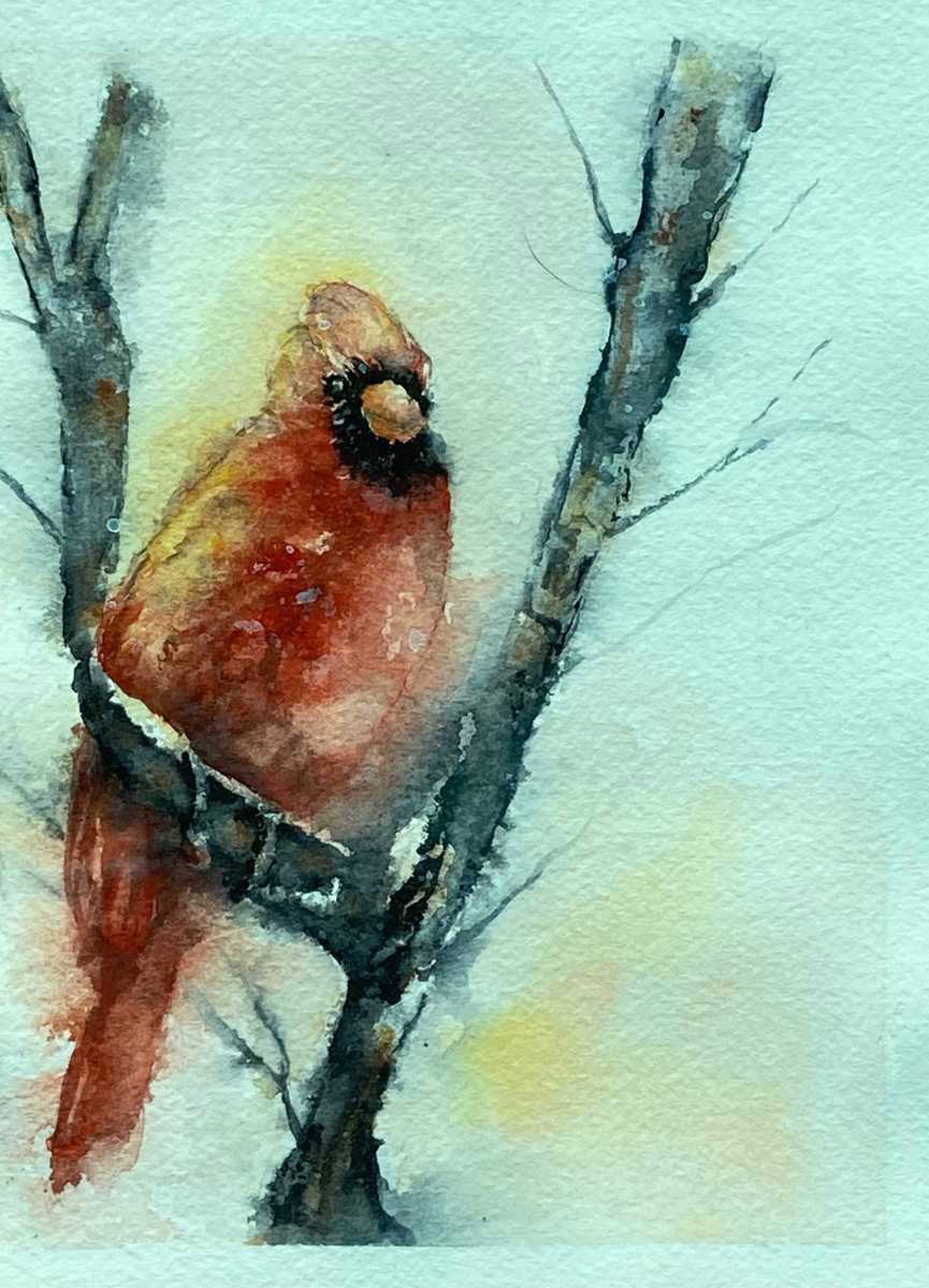 Cardinal in a Tree by Kate Greenway