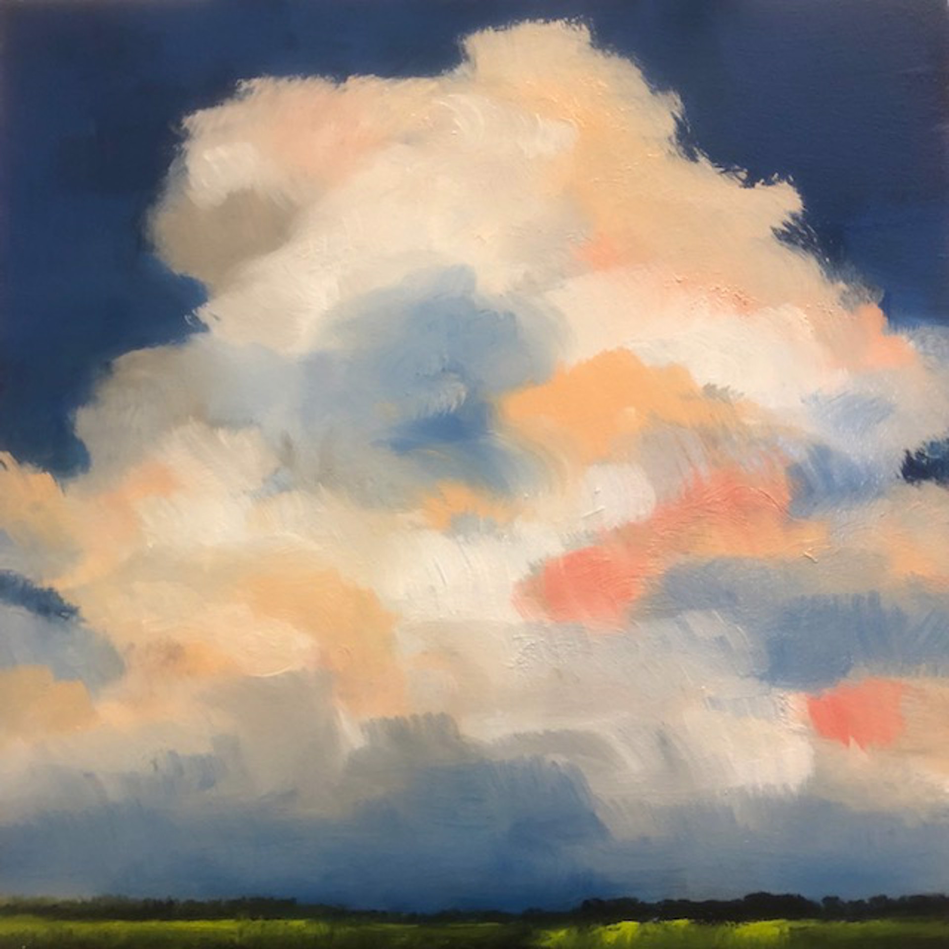 Summer Storm (Cumulus Congestus) by Paula Wallace