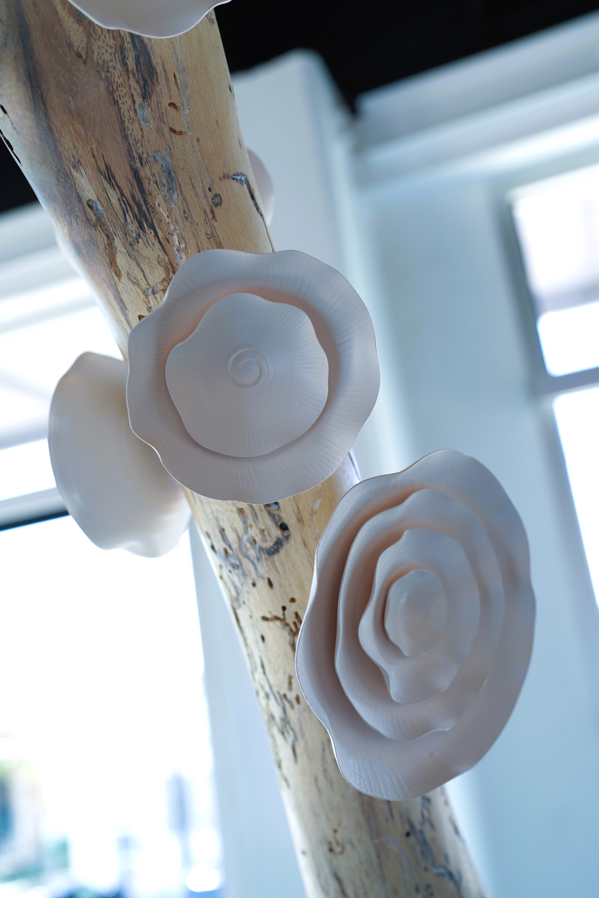 Lucrecia Waggoner Porcelain Wall Installation Custom Artwork -  Lucrecia Waggoner Winter Blooms, 2022 Polished porcelain & moongold leaf on reclaimed tree branch with marble base