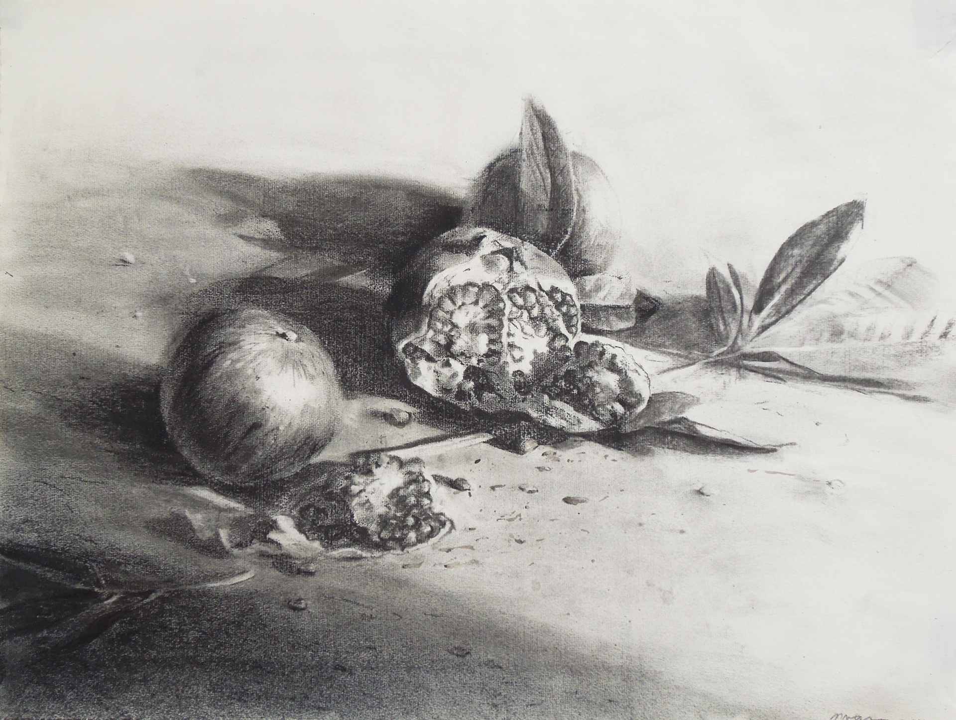 Pomegranates Drawing I by Melissa Weinman