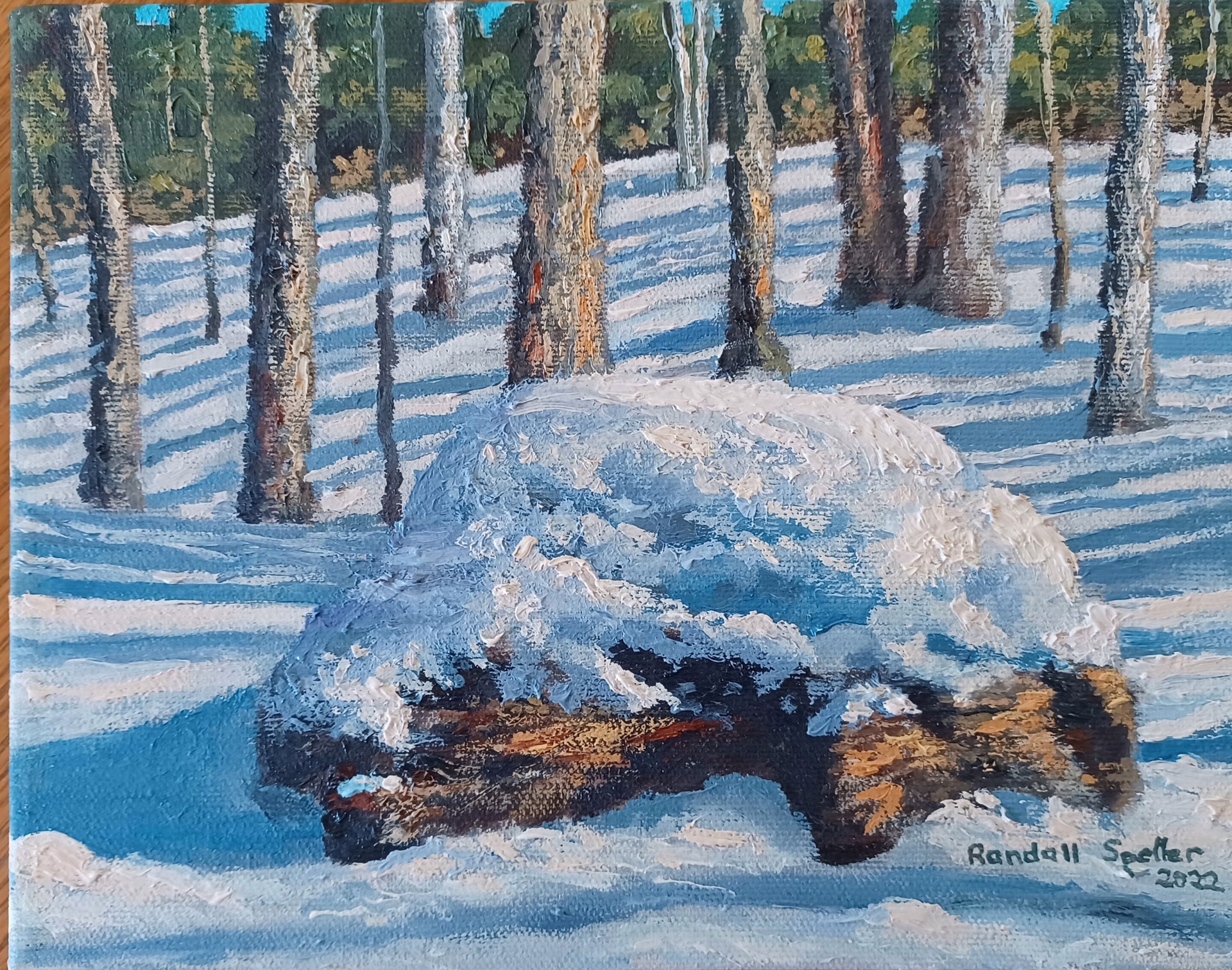 Erratic Under Snow by Randall Speller