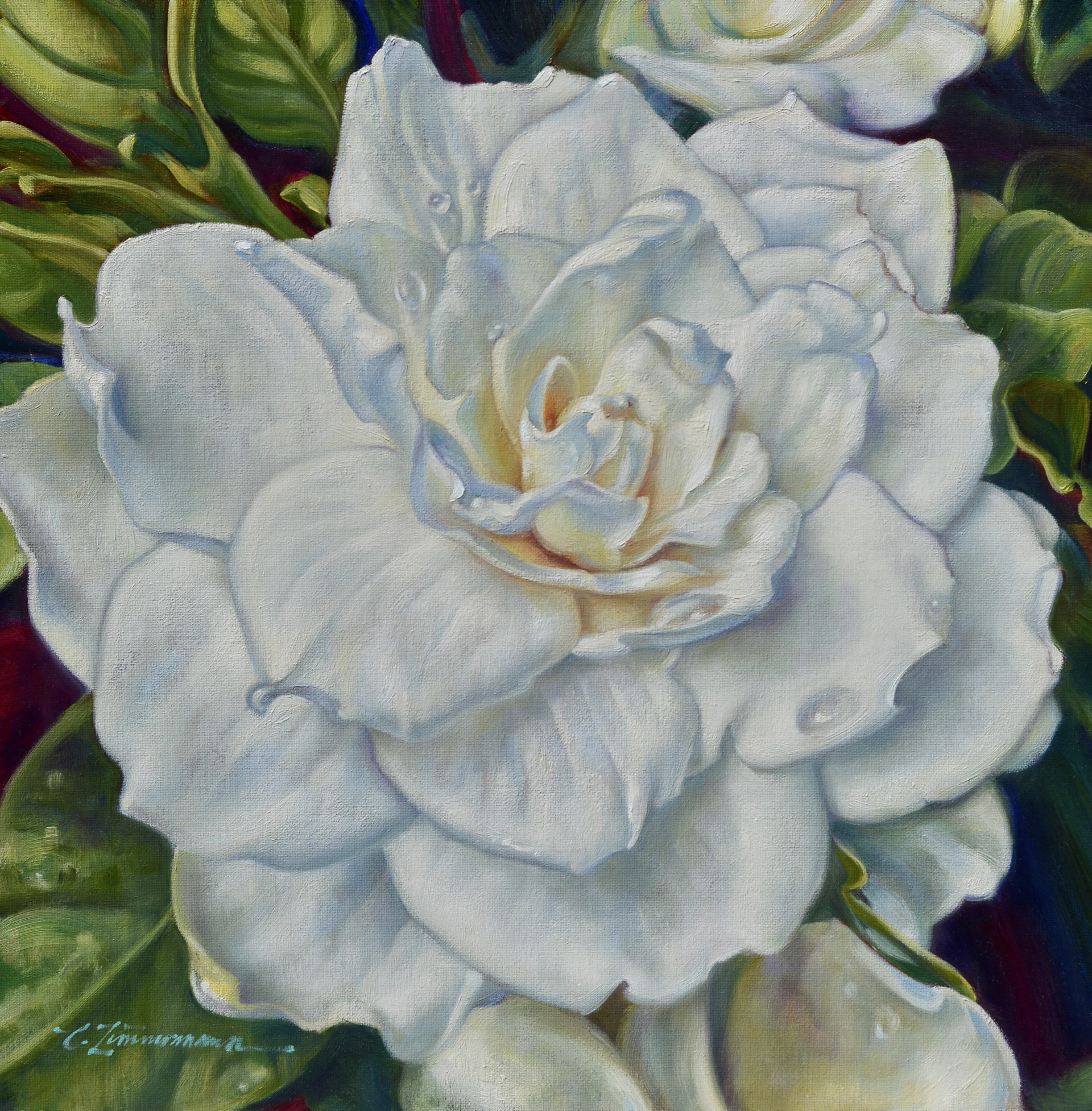 Rainsong Gardenia 1 by Caroline Zimmermann