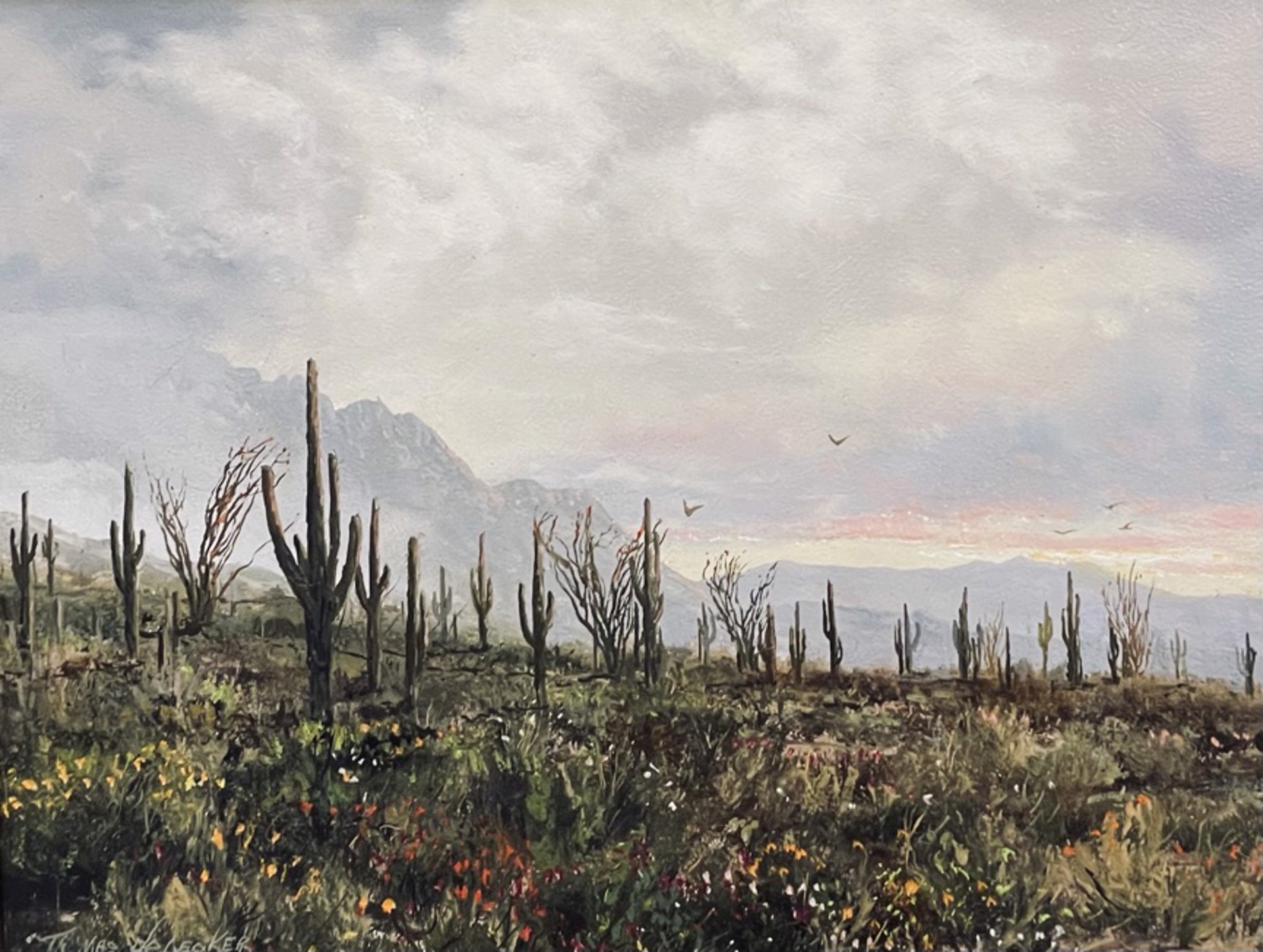 Saguaro Desert AZ by Thomas deDecker