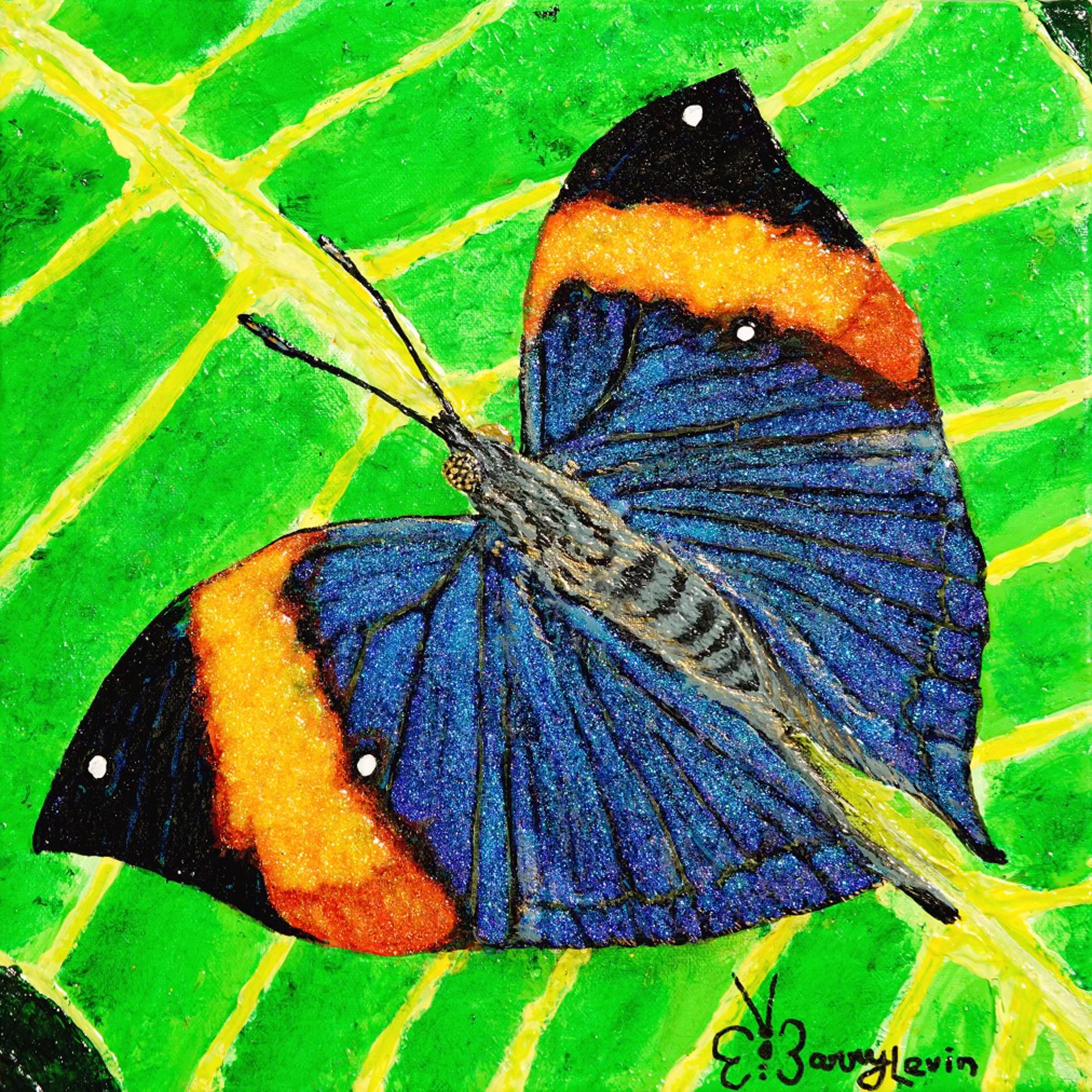 Dead Leaf Butterfly, study by Barry Levin