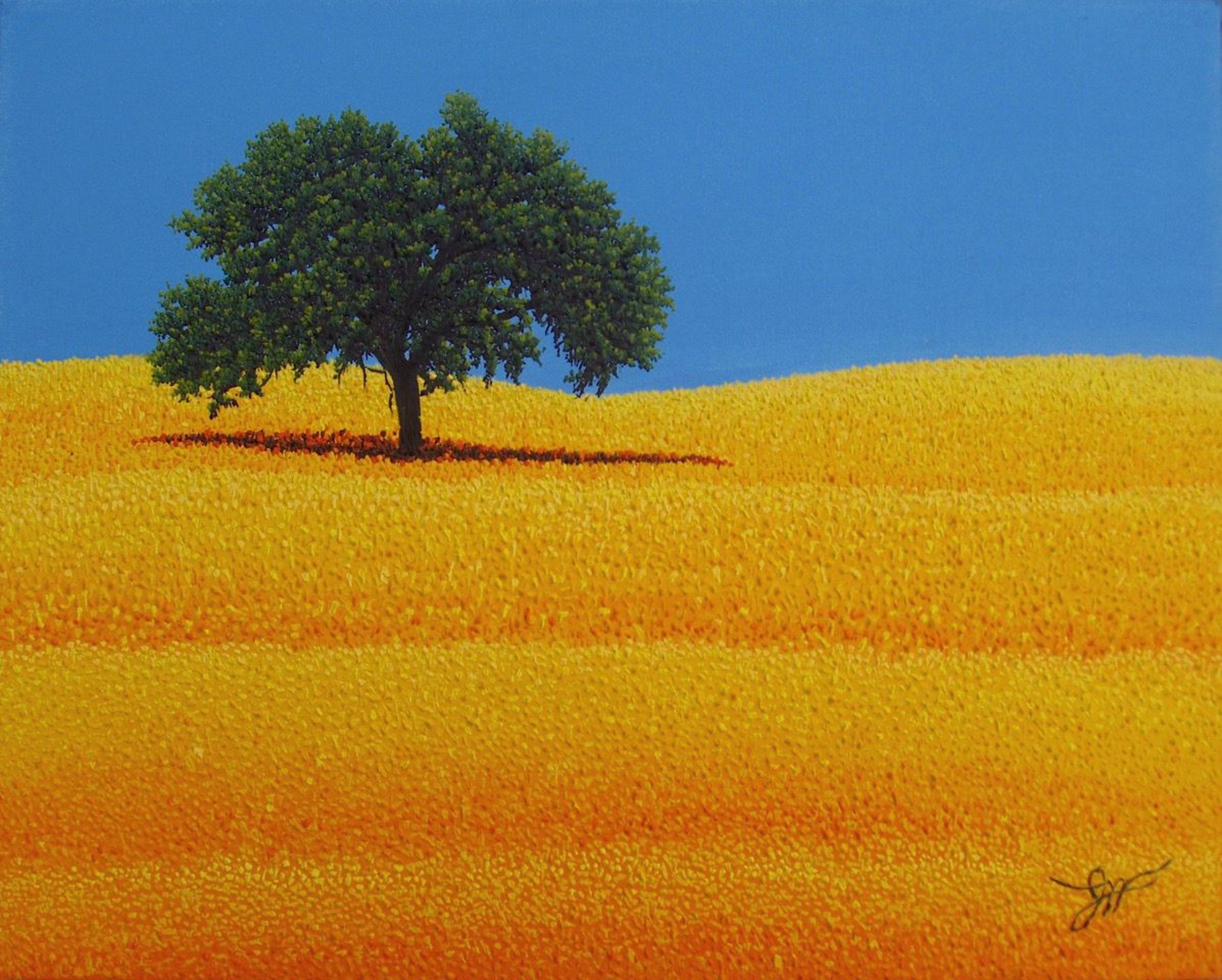 Prairie Gold by Jay Maggio