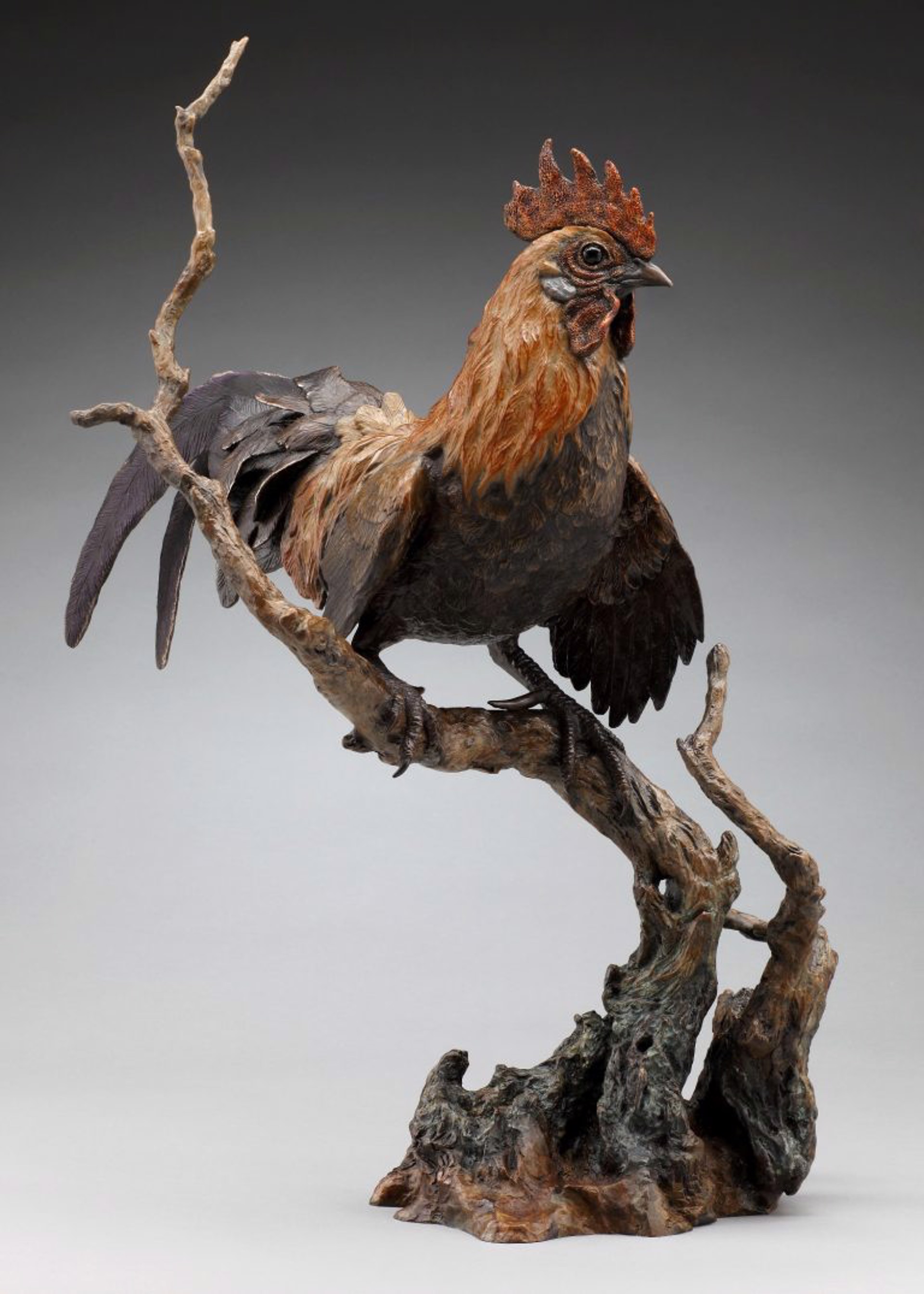Wild Thing (Jungle Fowl Hybrid Rooster) (Edition of 19) by Diane Mason