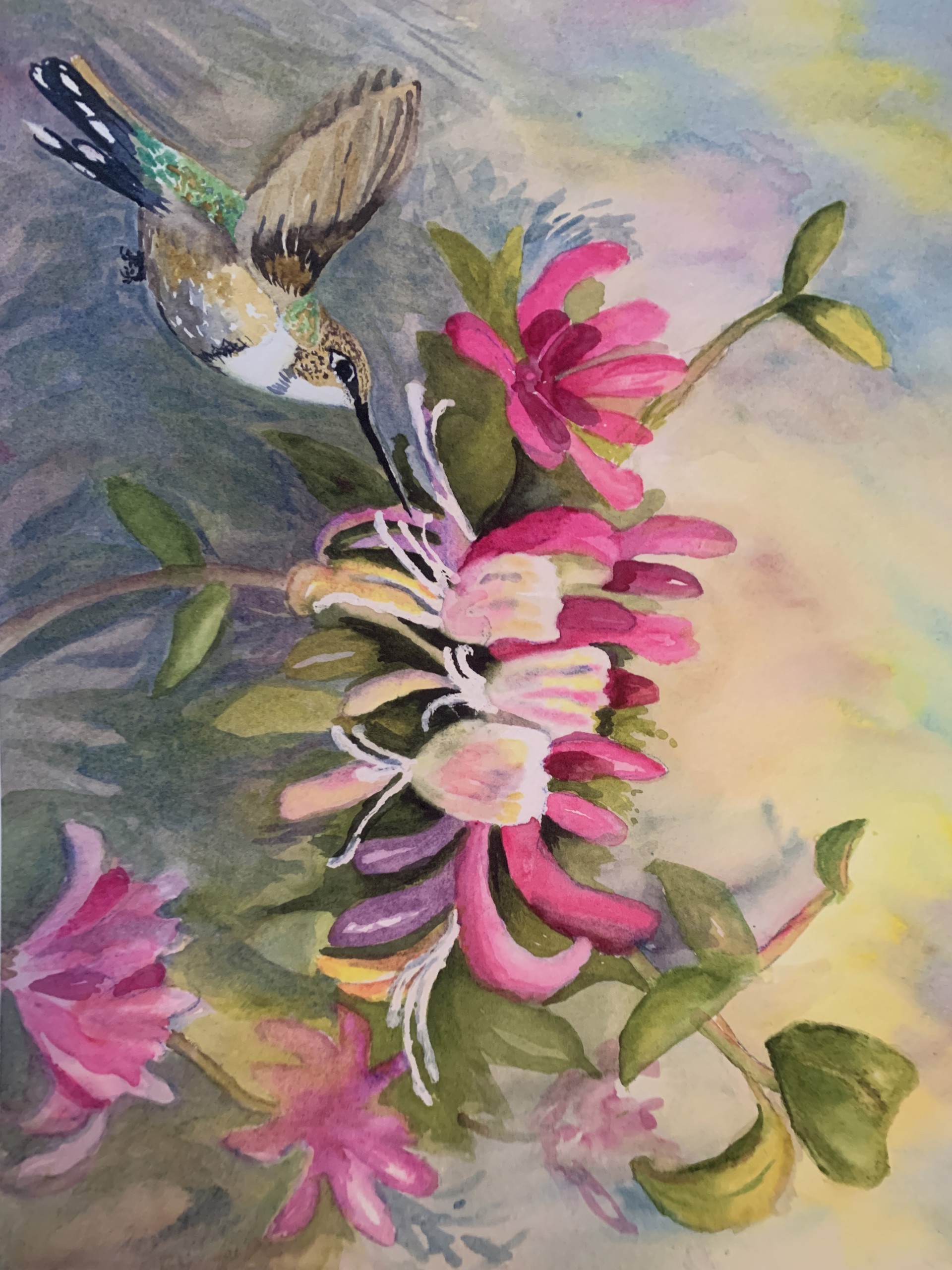 Hummingbird and Honeysuckle by Denise Jackson
