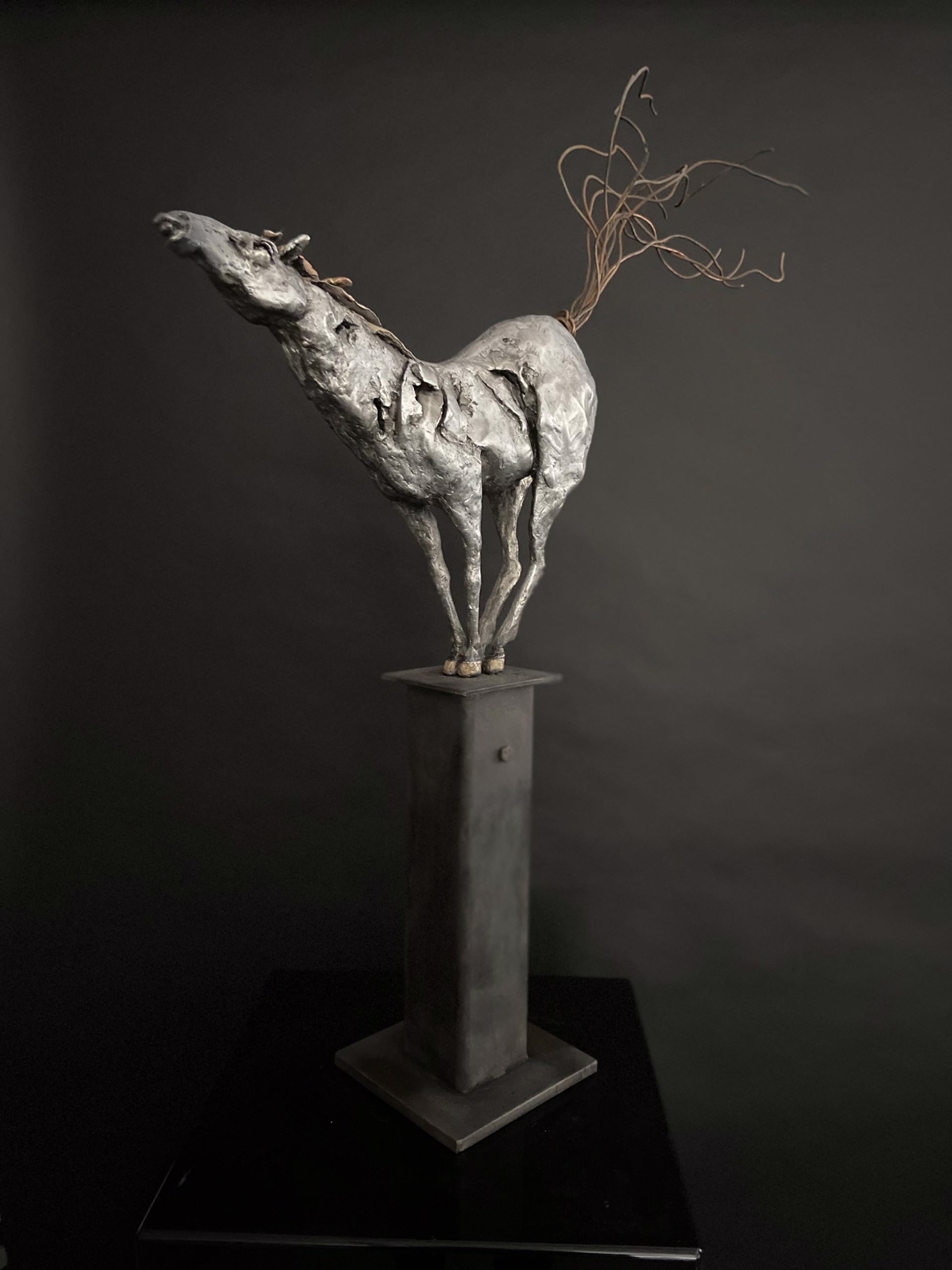 Horselaugh by Debbie Korbel