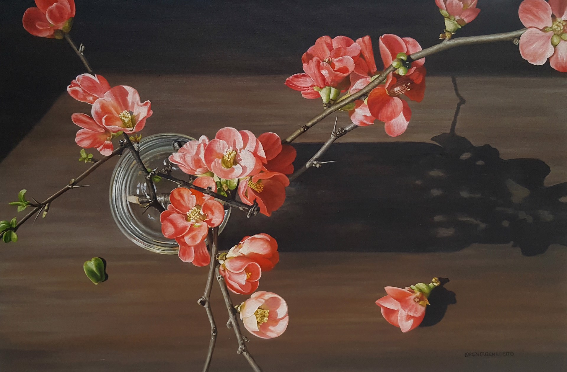 Flowering Quince from Above by Loren DiBenedetto, OPA