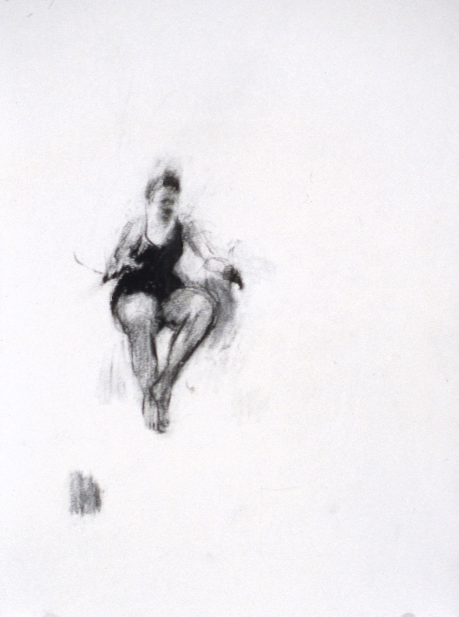 Falling Figure 16 by Joel Janowitz