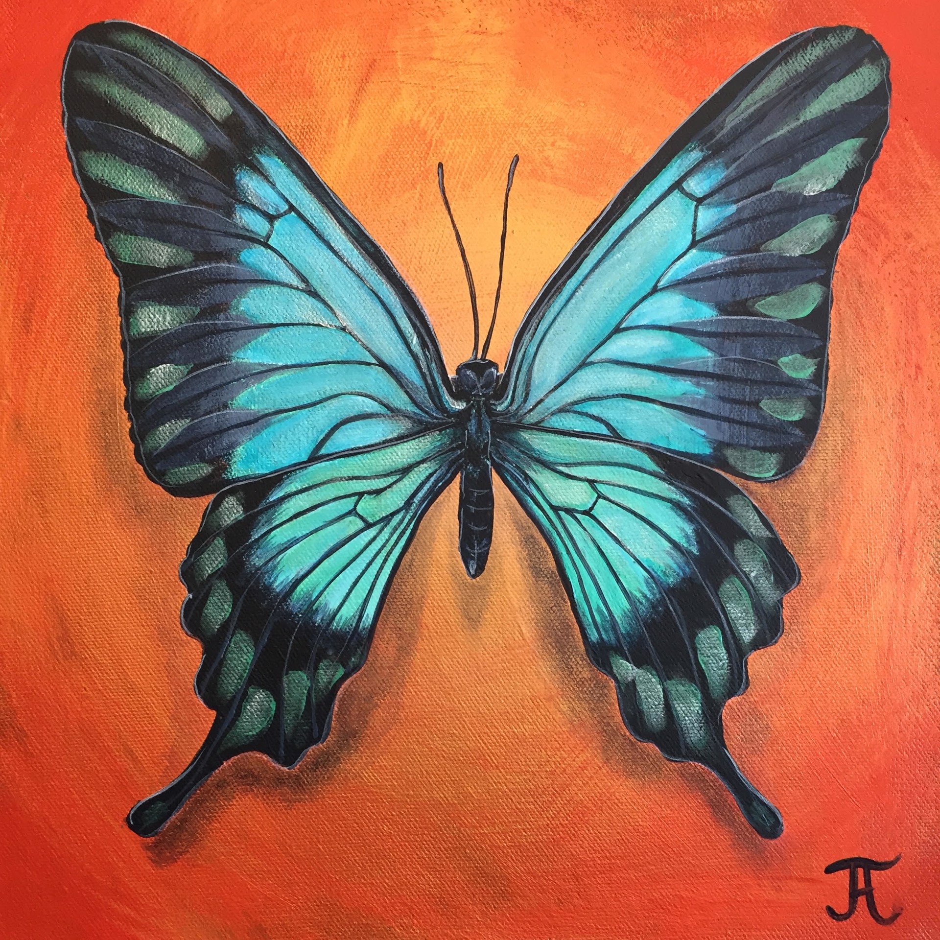 Swallowtail Butterfly by J.J Allwood