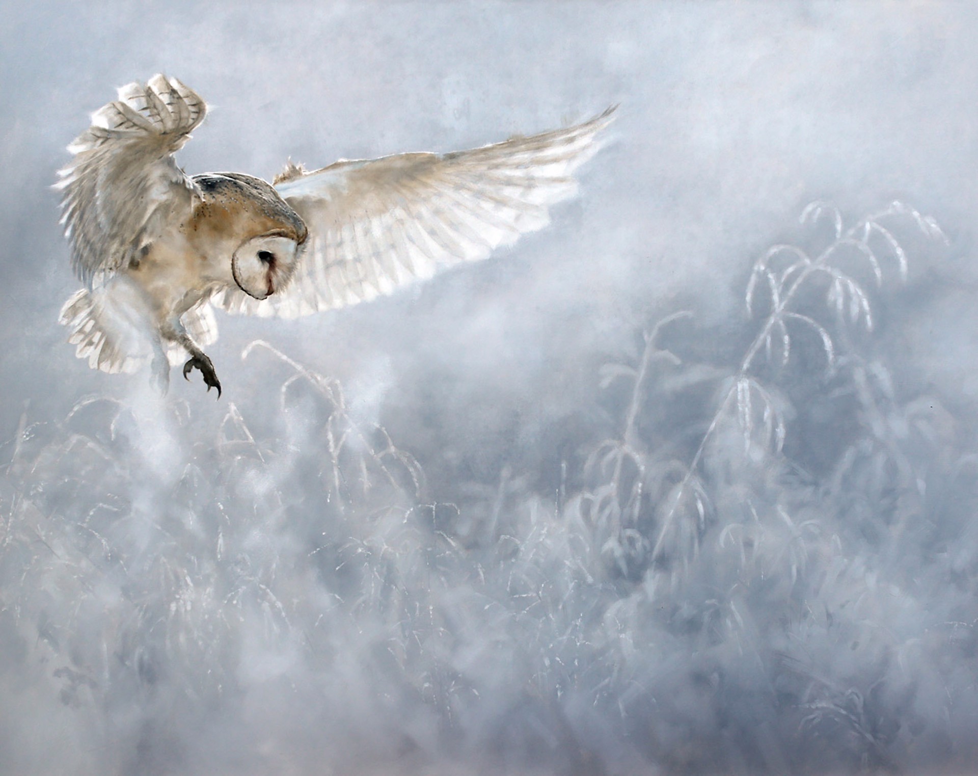 Original Oil Painting By Doyle Hostetler Featuring A Snowy Owl In Flight Over Blurry Snow Covered Landscape