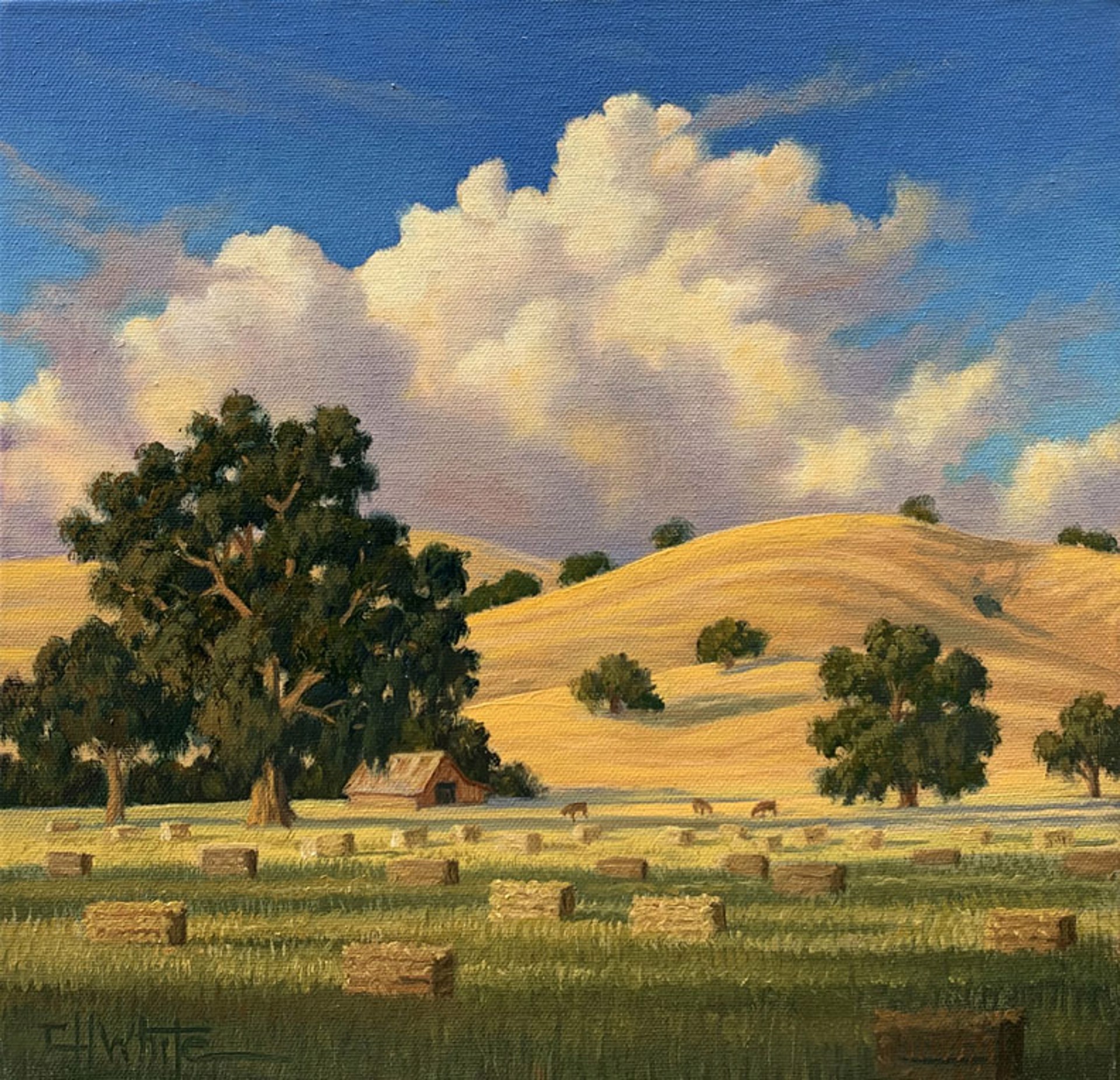 Summer Hayfield by Charles White