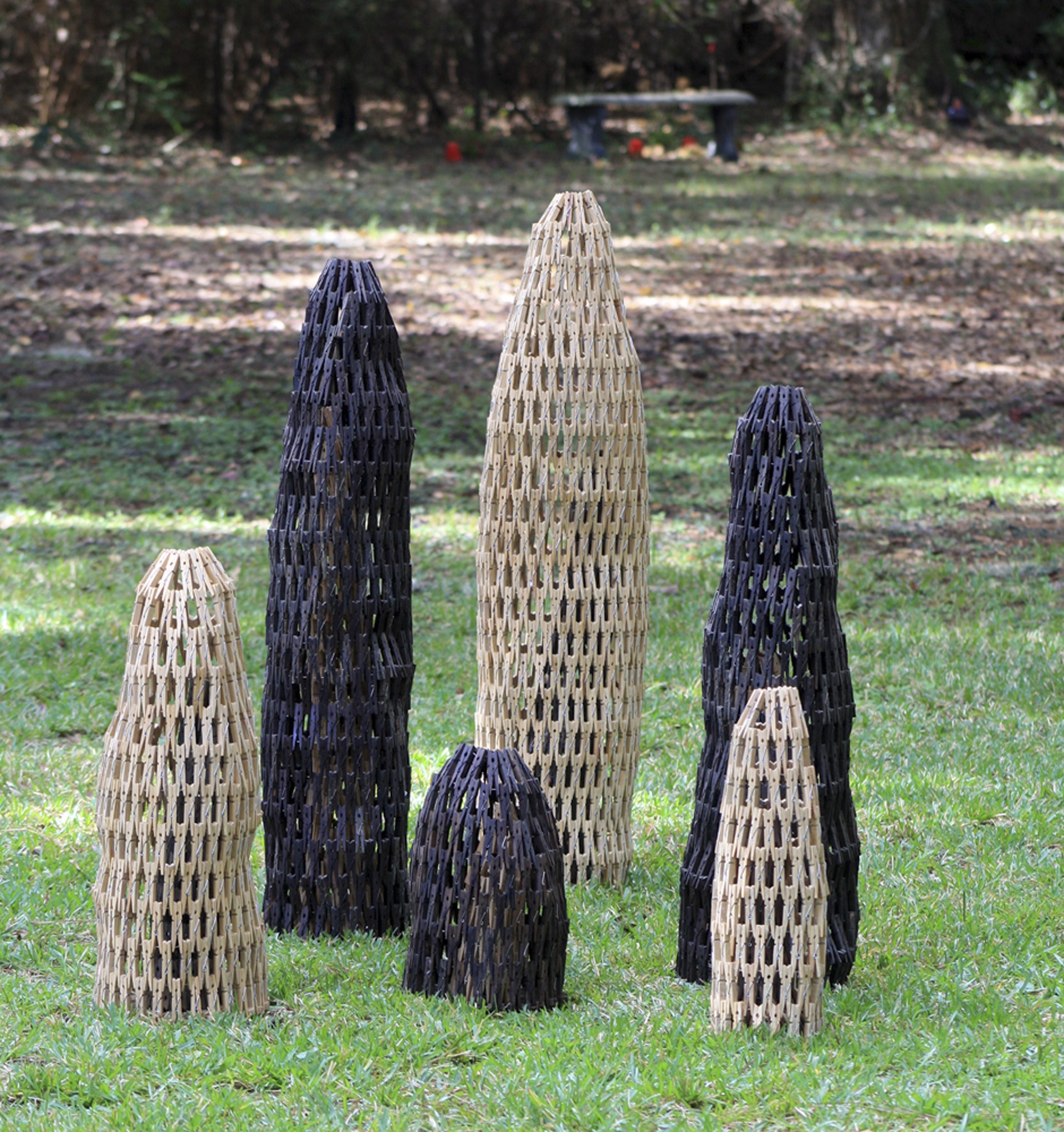 Cypress Knees (6 pieces) by Gerry Stecca