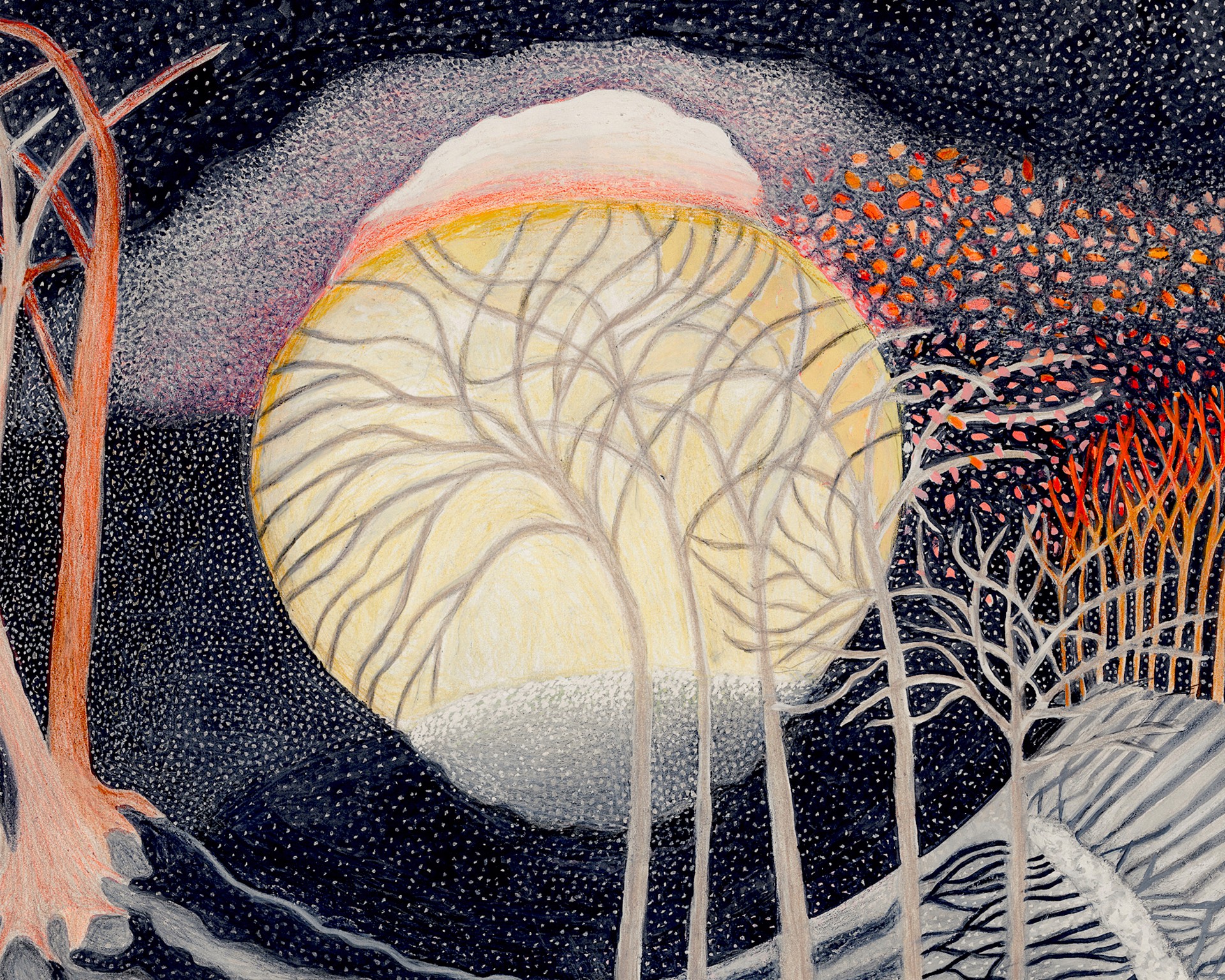 Five Moons and a Sun by Ann Leda Shapiro