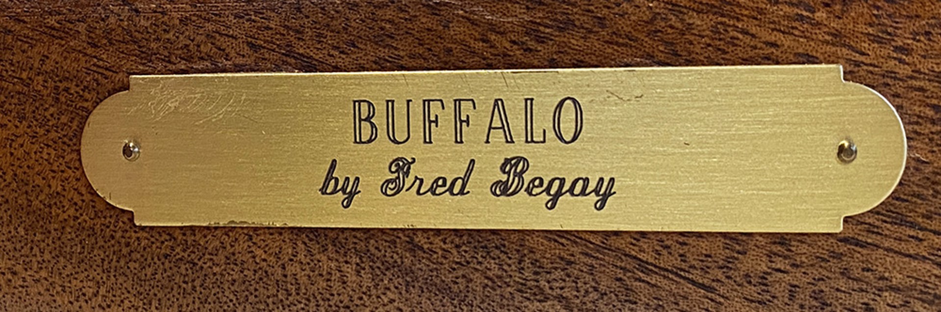 White Buffalo by Fred Begay