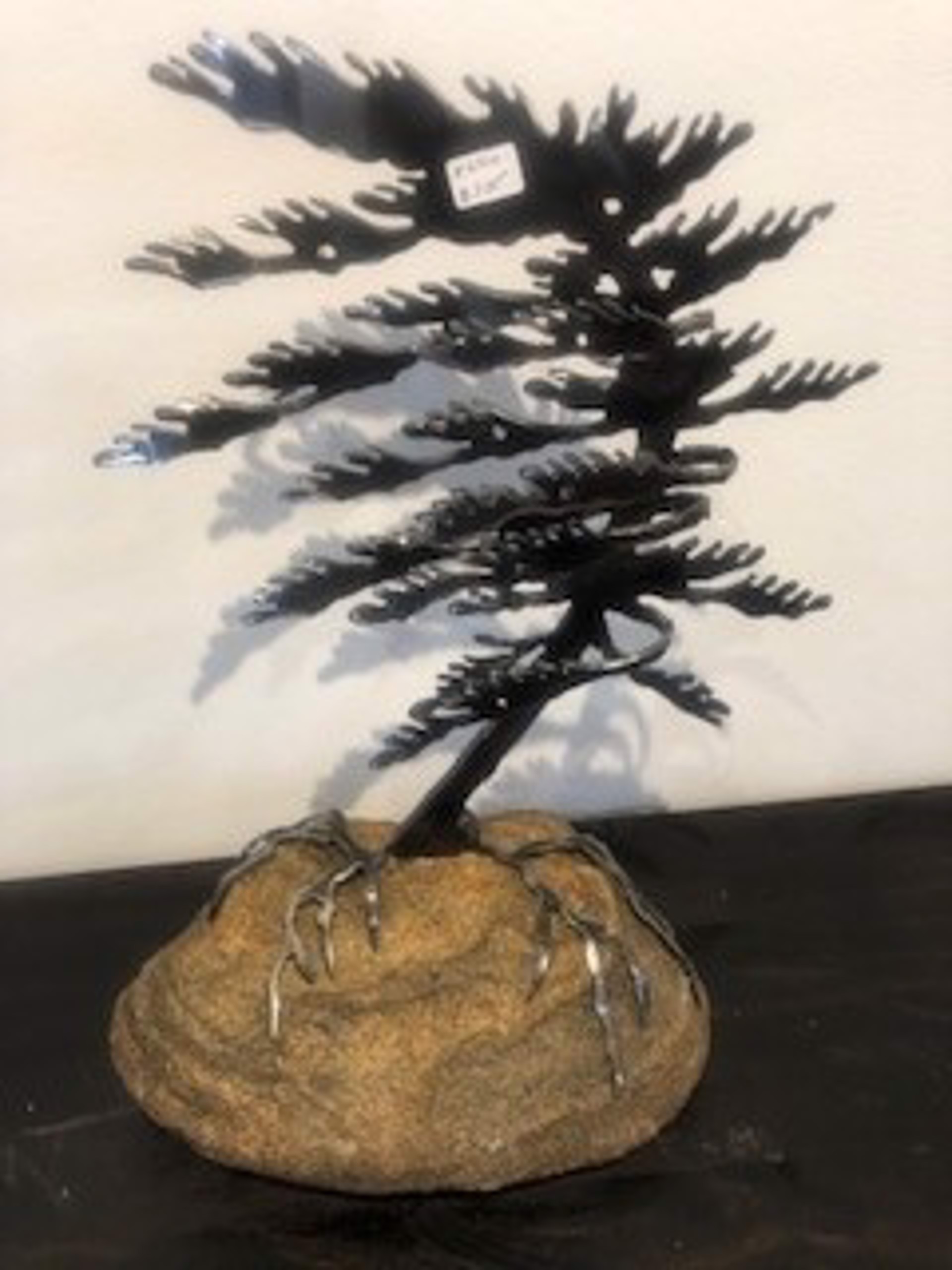 Pine Tree on a Rock - #6310 by Cathy Mark