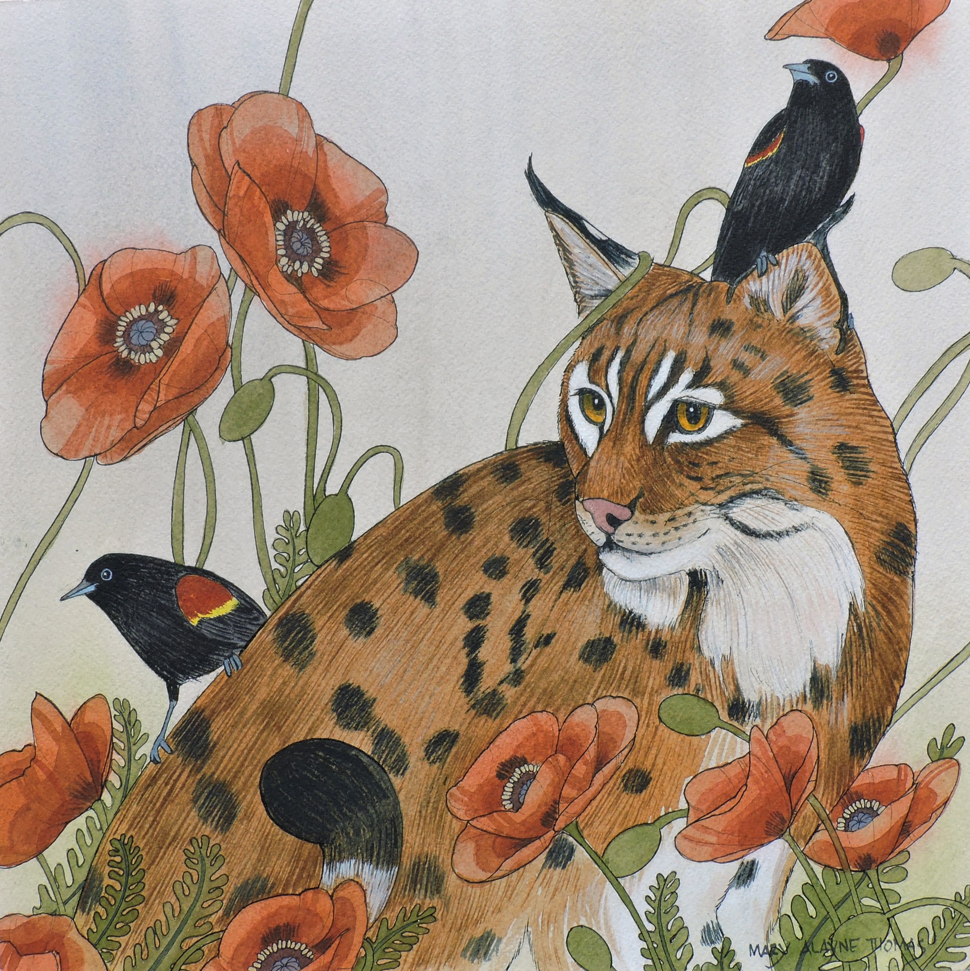 Call of the Poppies by Mary Alayne Thomas