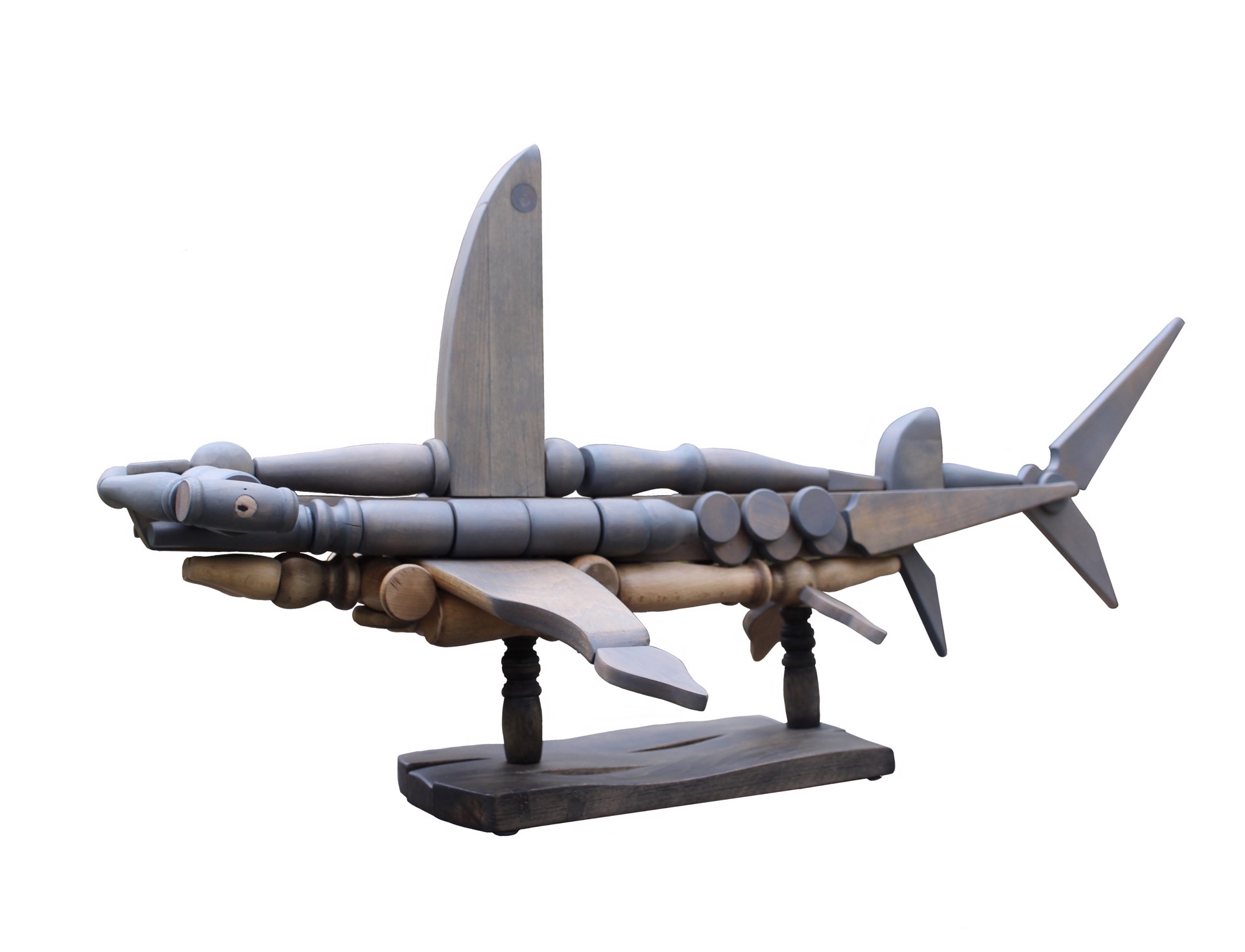Hammerhead Shark by José Pablo Barreda