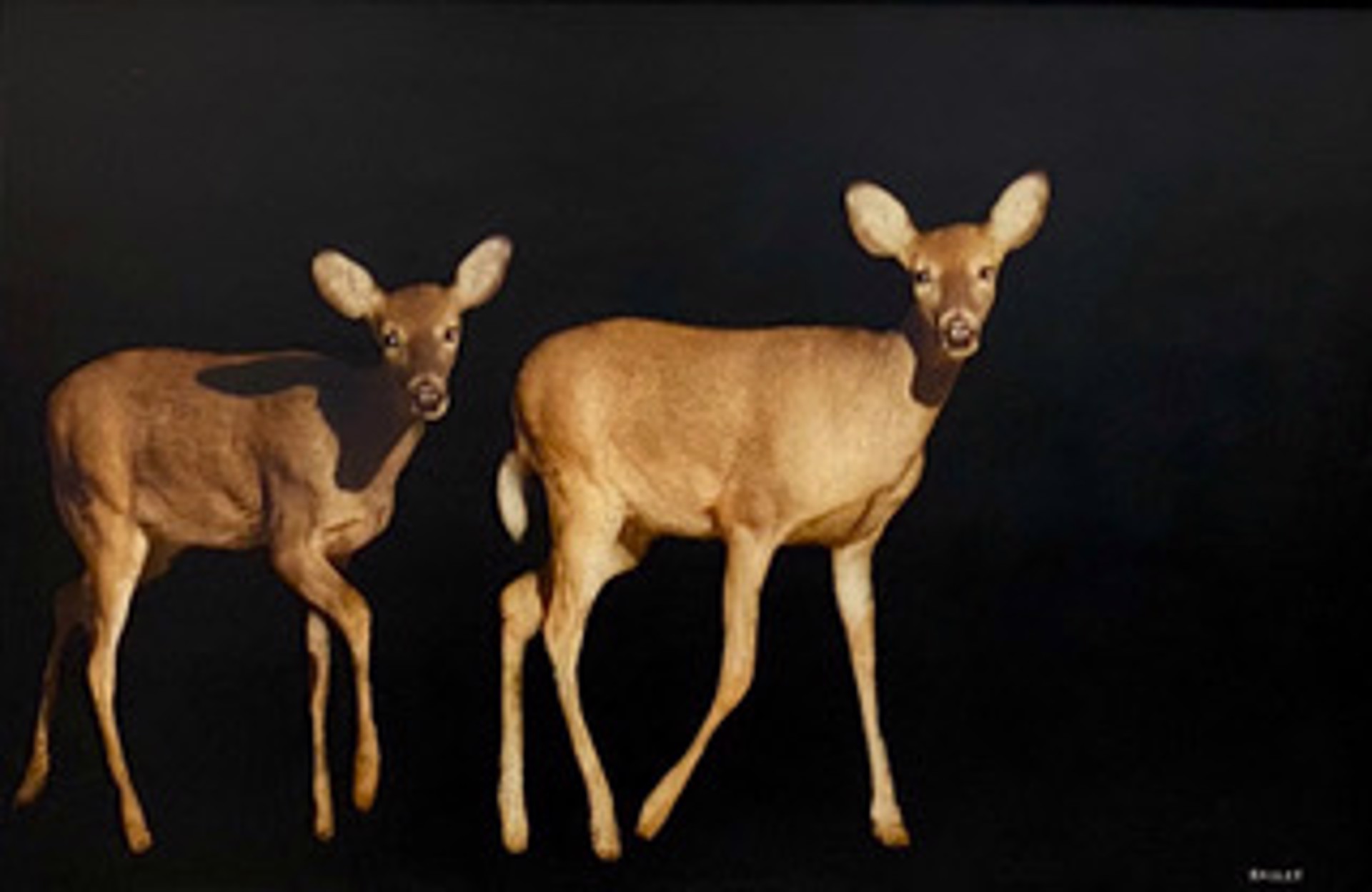 Deer Friends by Dawne Raulet