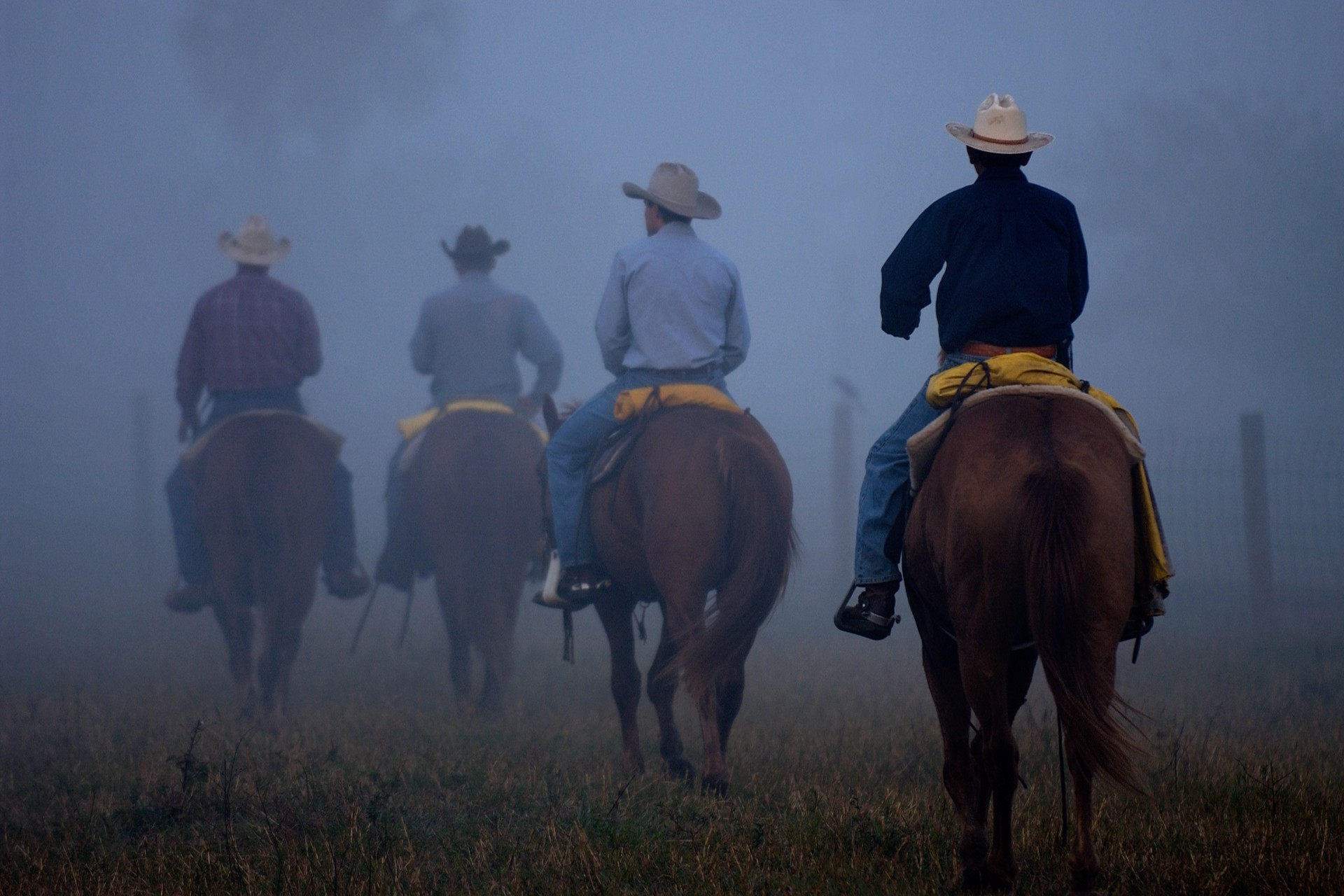 Cowboys in Mist by Carlton Ward Photography