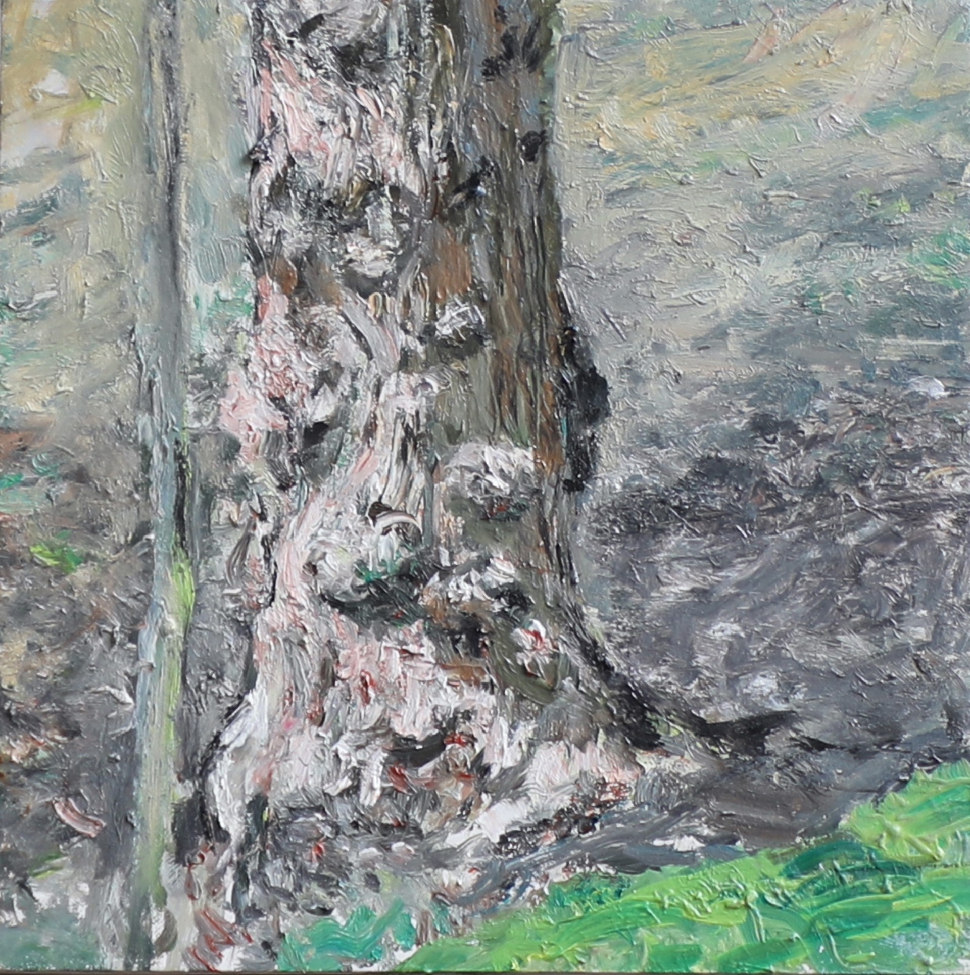 Burled Oak by Judith Peck