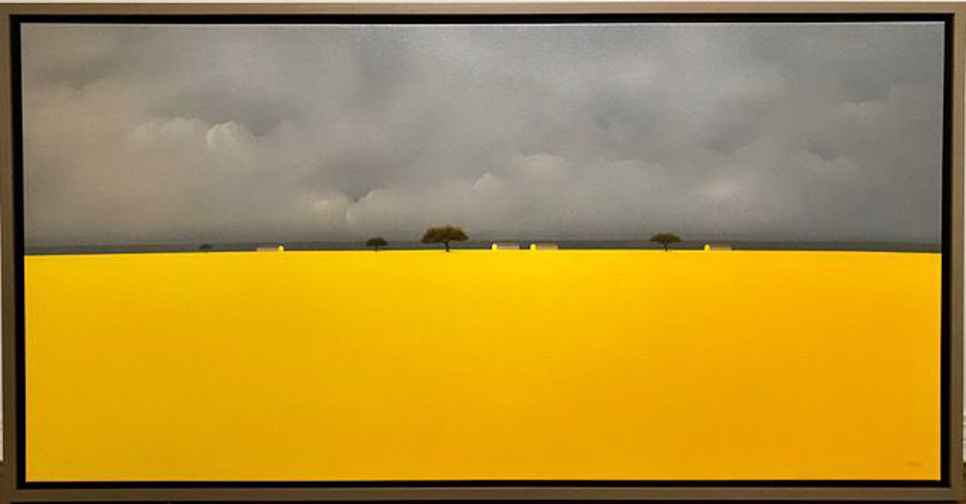 Campo Amarillo con Nubes de Lluvia by José Basso