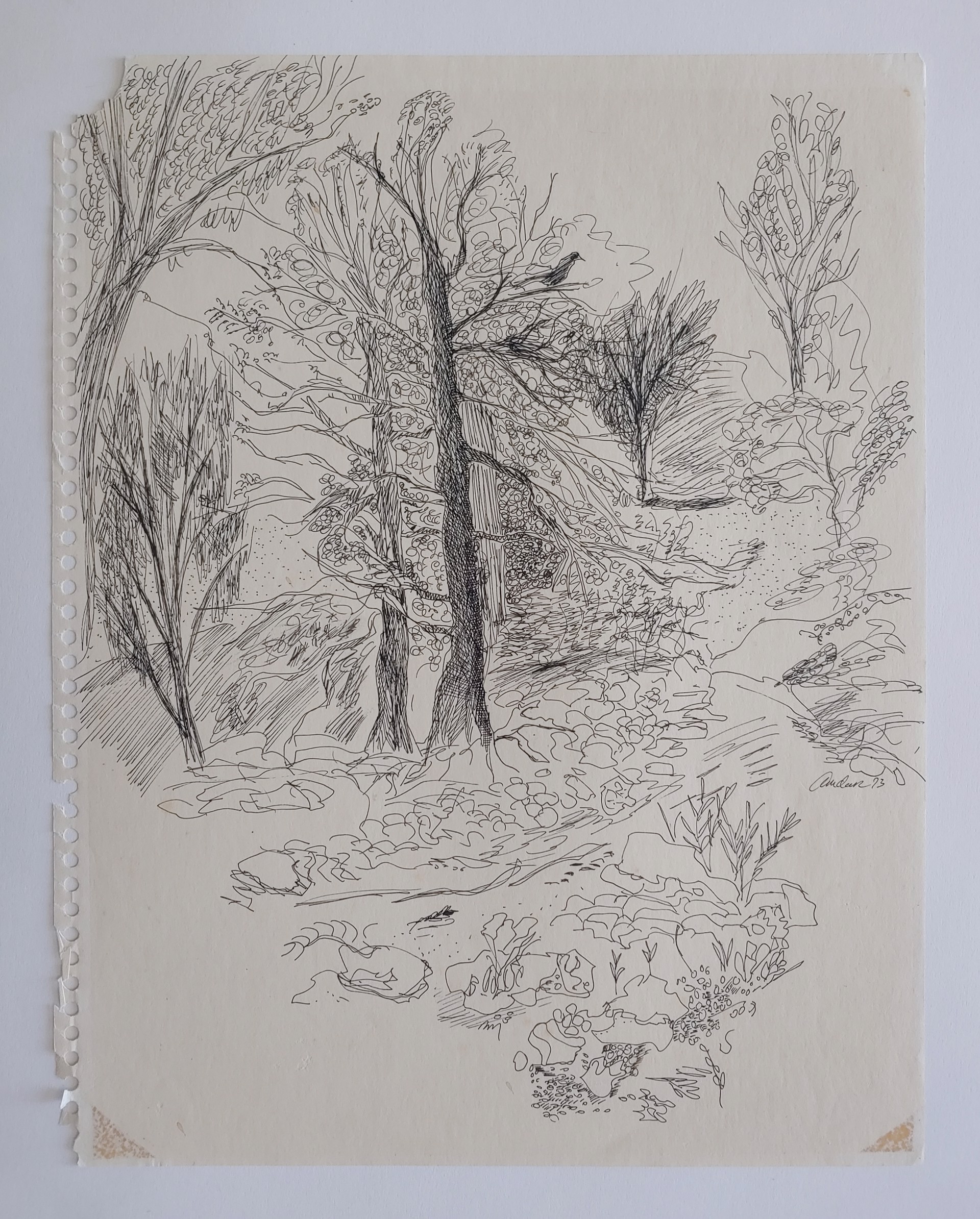 Trees - Drawing by David Amdur